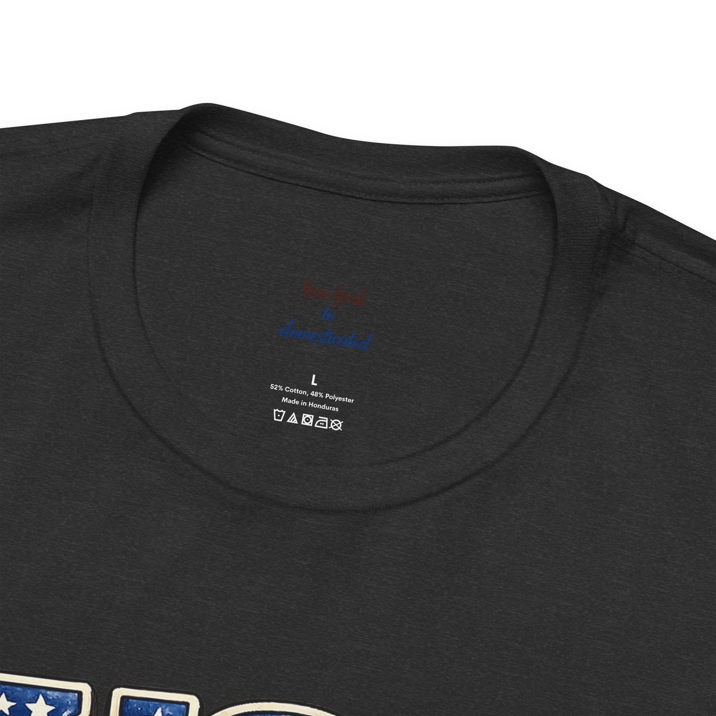 Patriot Raccoon 250th Anniversary T-Shirt — 4th of July Fireworks Flag Tee