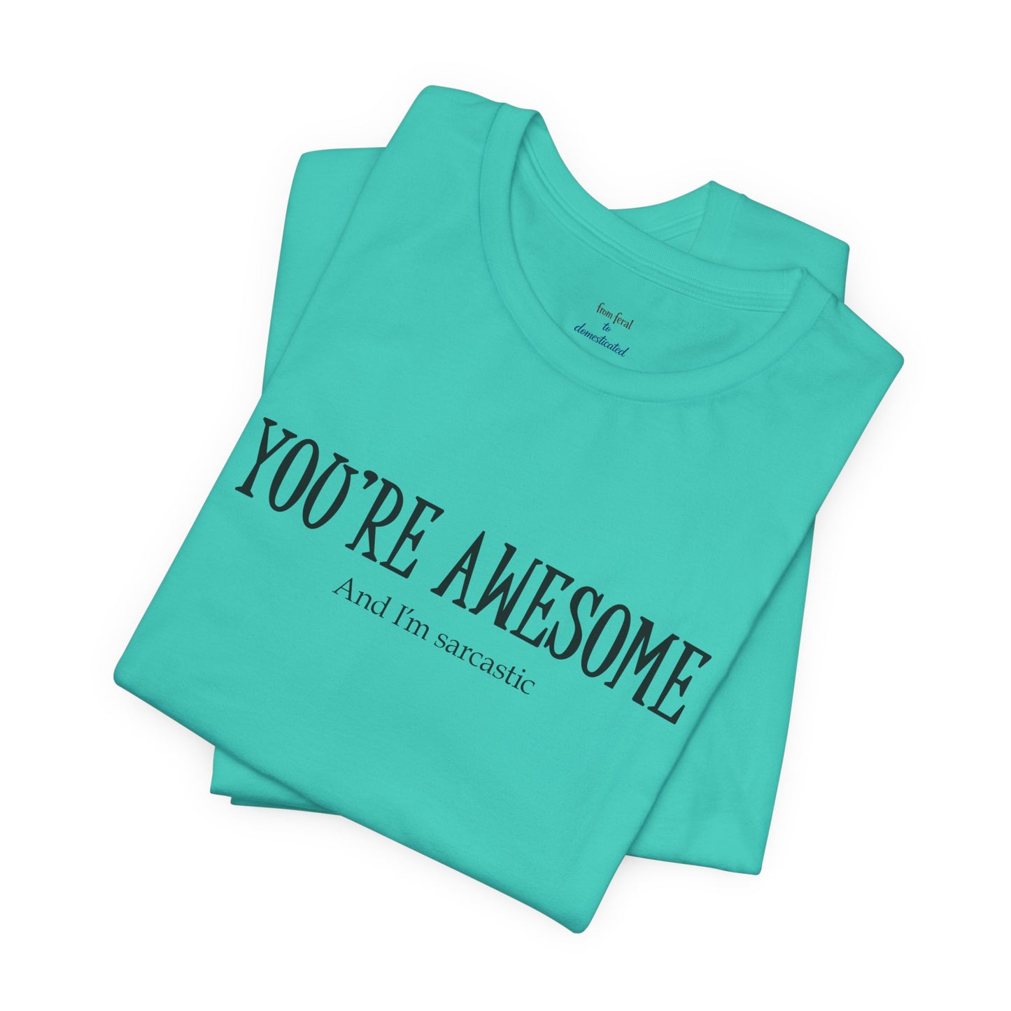 You're Awesome (And I'm Sarcastic) T-Shirt
