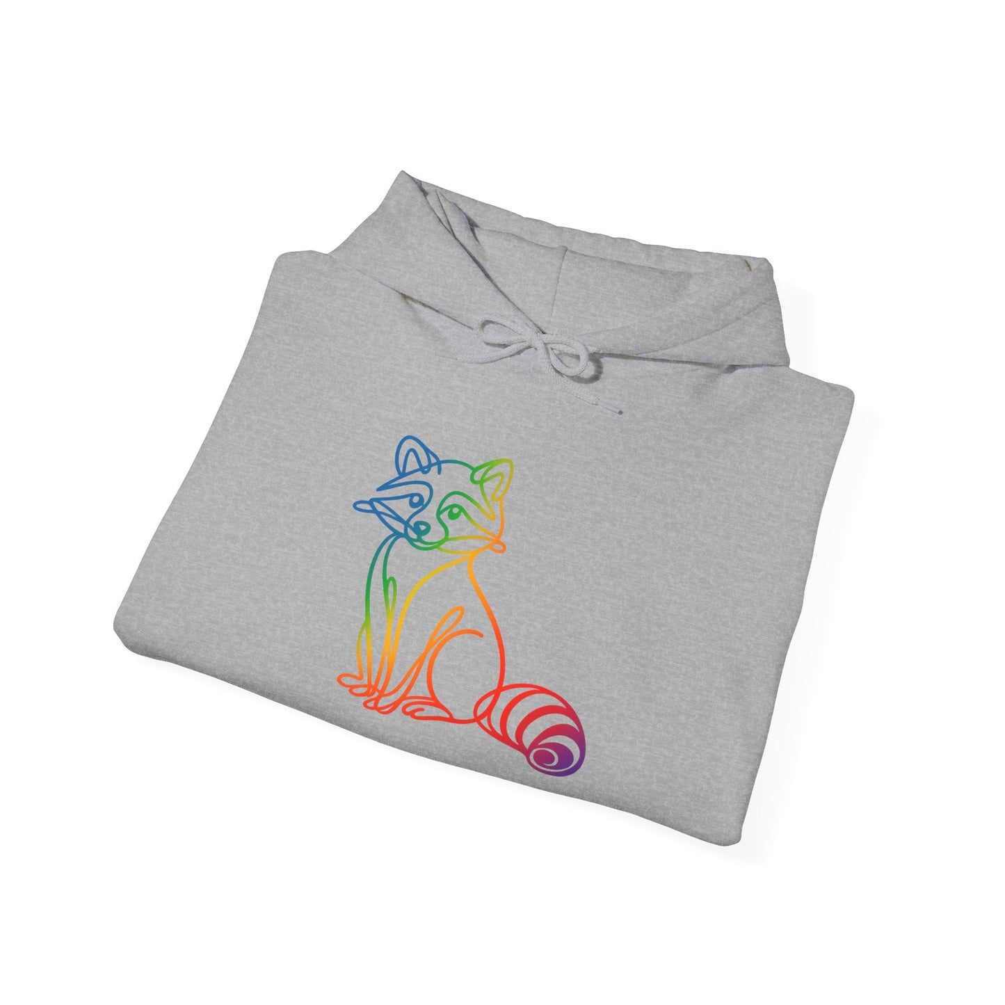 Rainbow Line Art Raccoon Hoodie