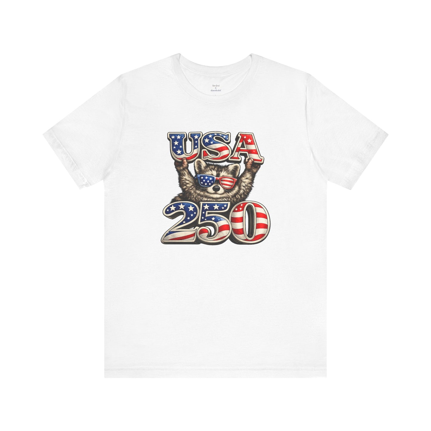 Patriot Raccoon 250th Anniversary T-Shirt — 4th of July Fireworks Flag Tee