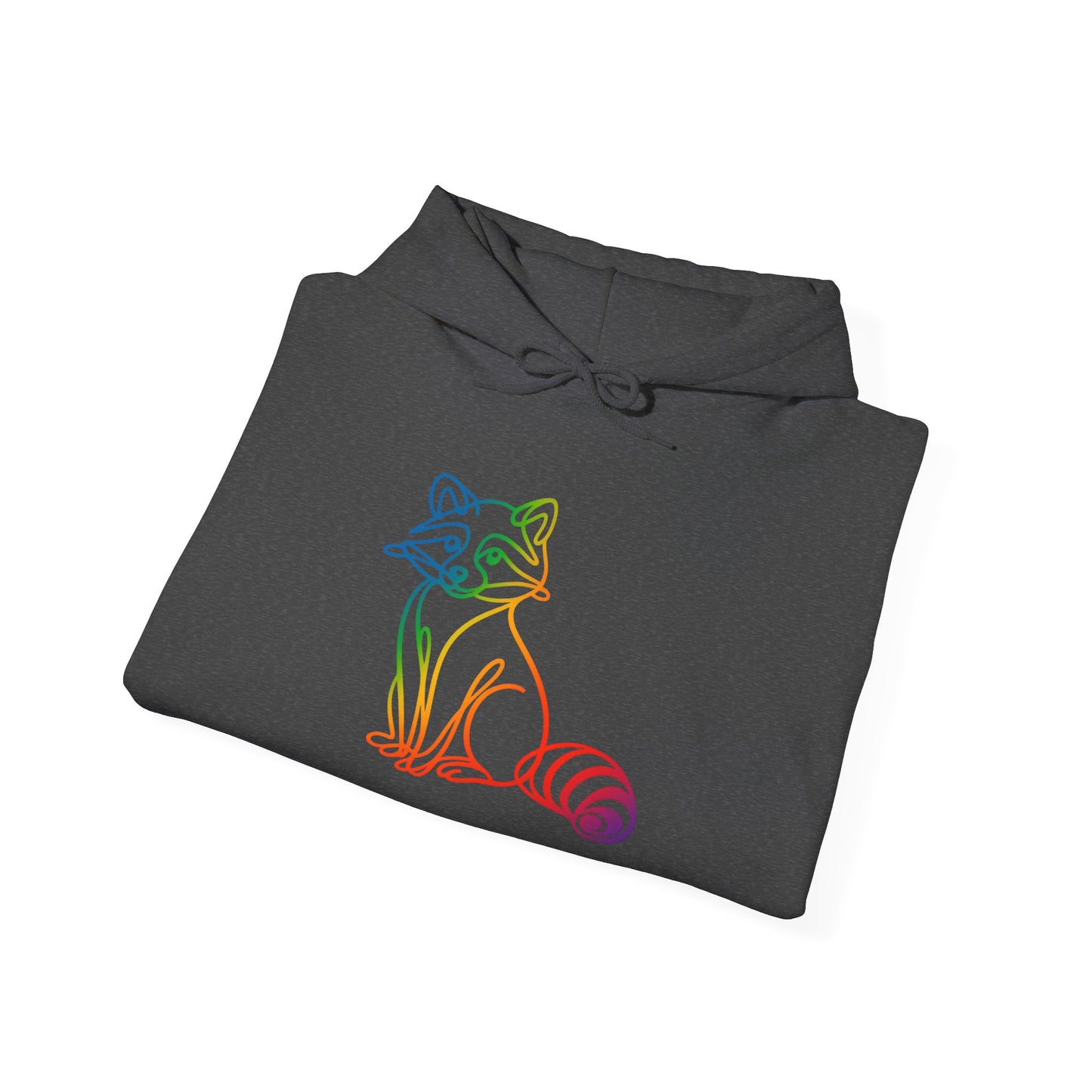 Rainbow Line Art Raccoon Hoodie