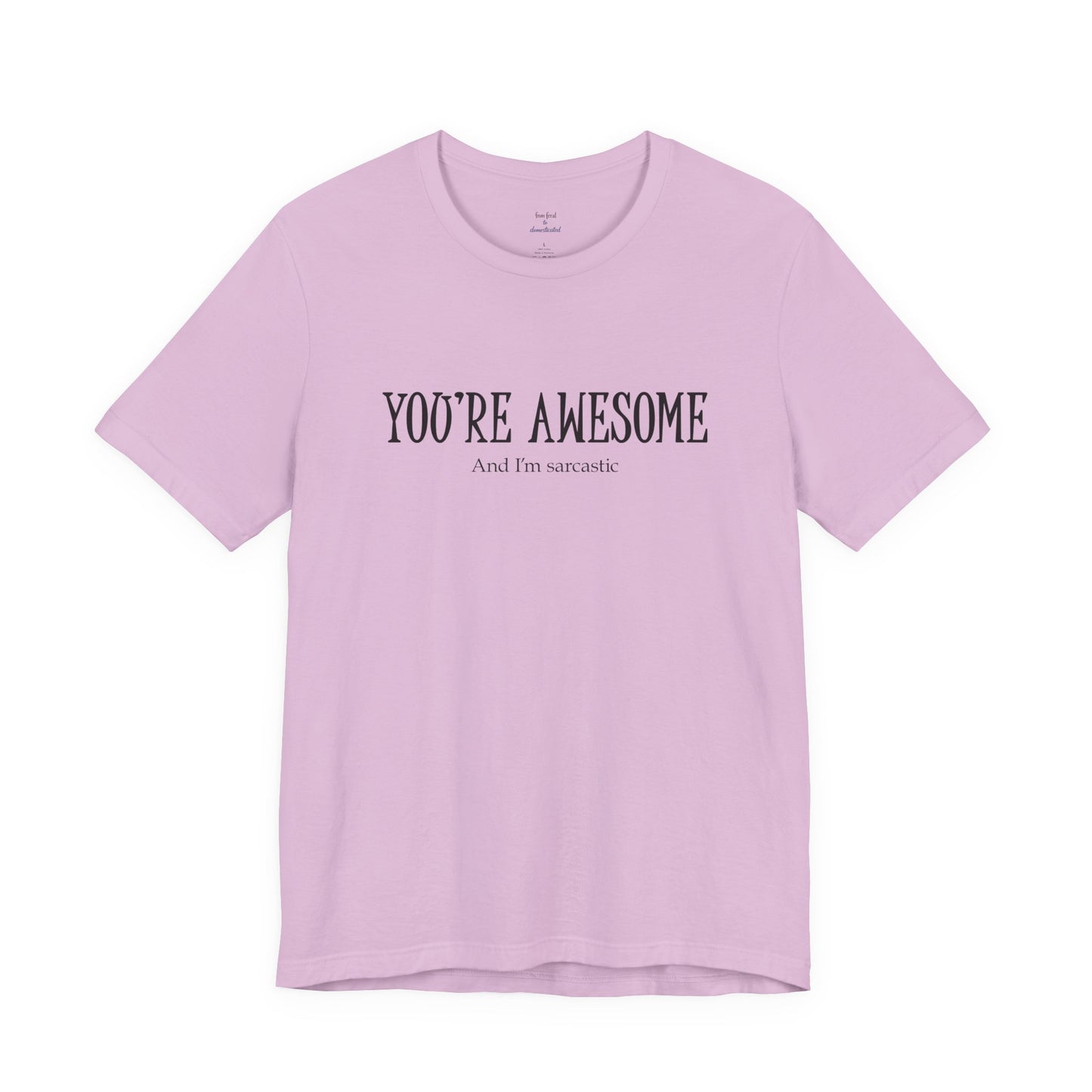 You're Awesome (And I'm Sarcastic) T-Shirt