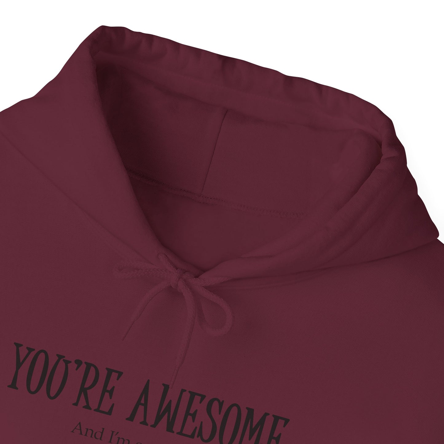 You're Awesome | I'm sarcastic Hoodie