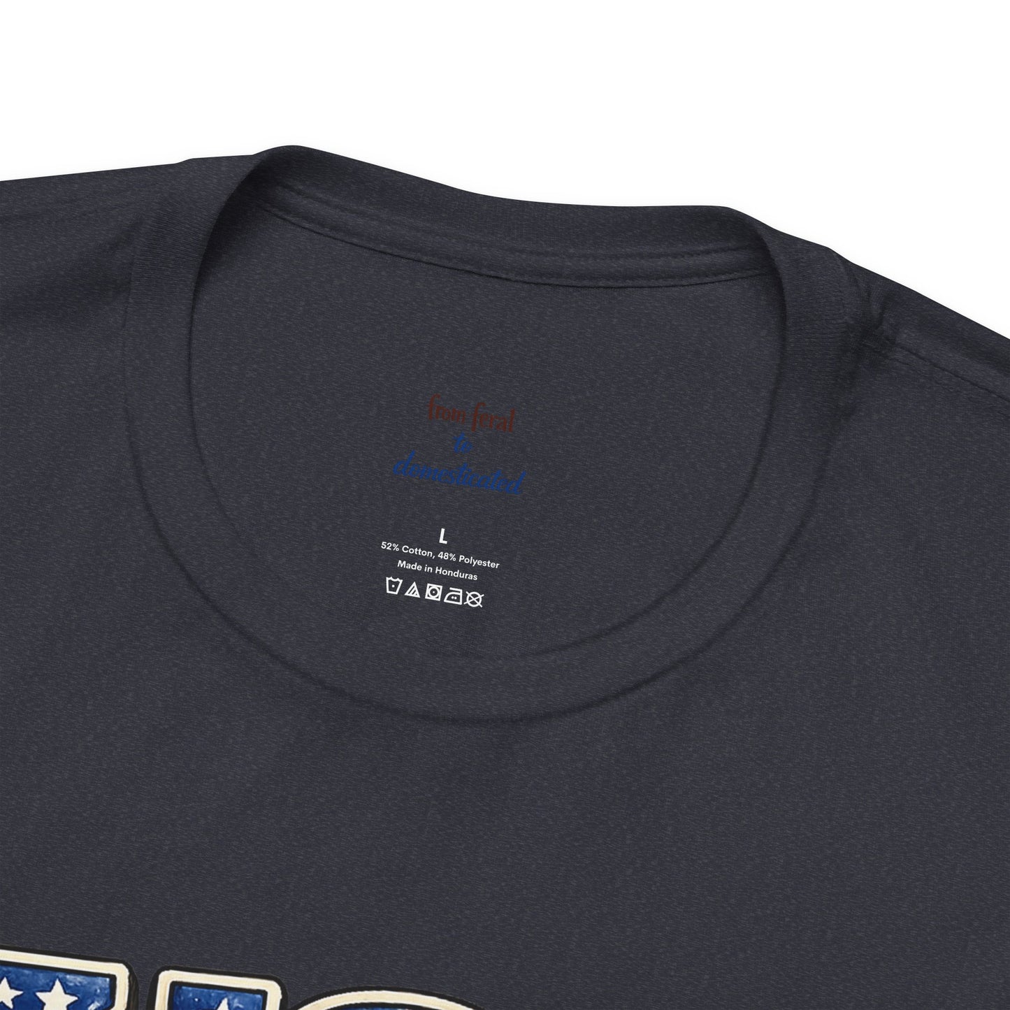 Patriot Raccoon 250th Anniversary T-Shirt — 4th of July Fireworks Flag Tee