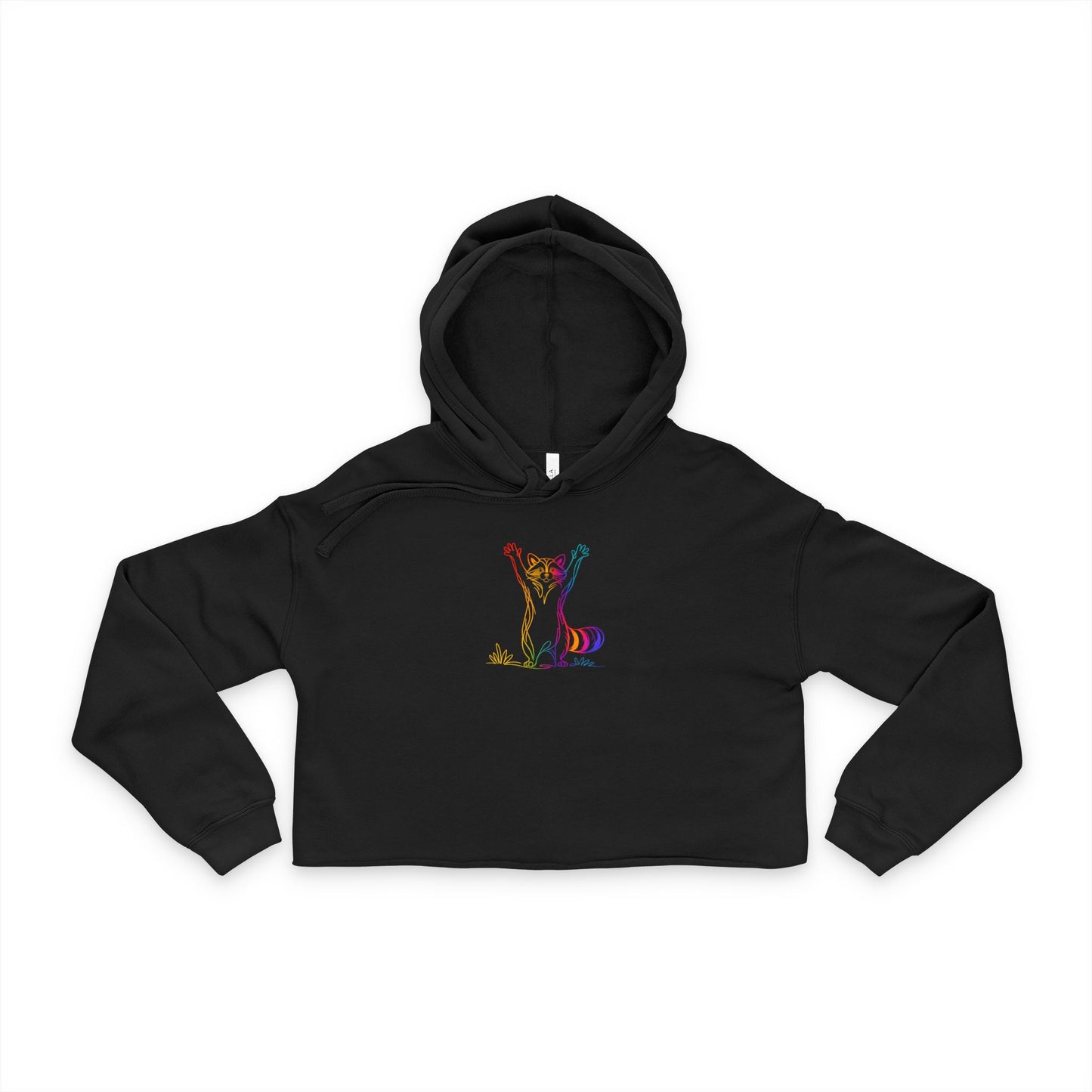 Rainbow Raccoon Cropped Hoodie
