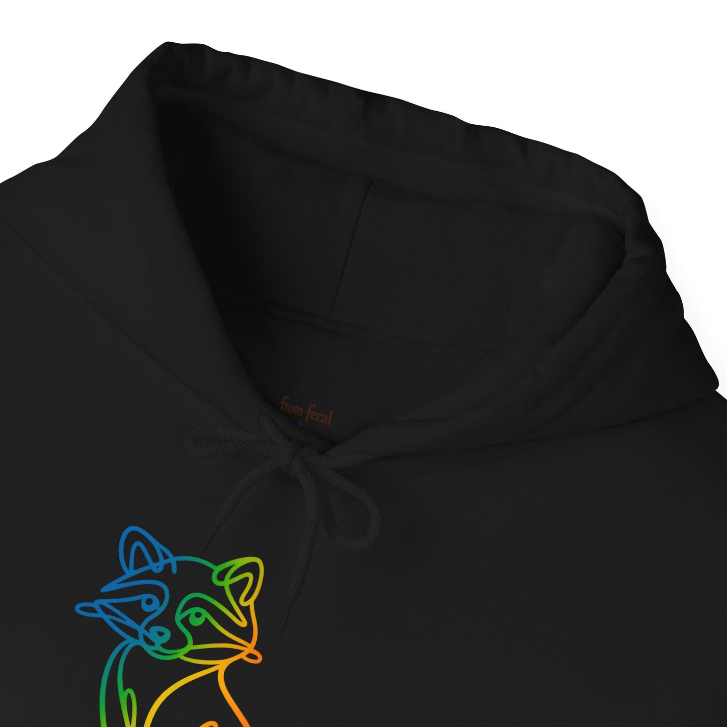 Rainbow Line Art Raccoon Hoodie