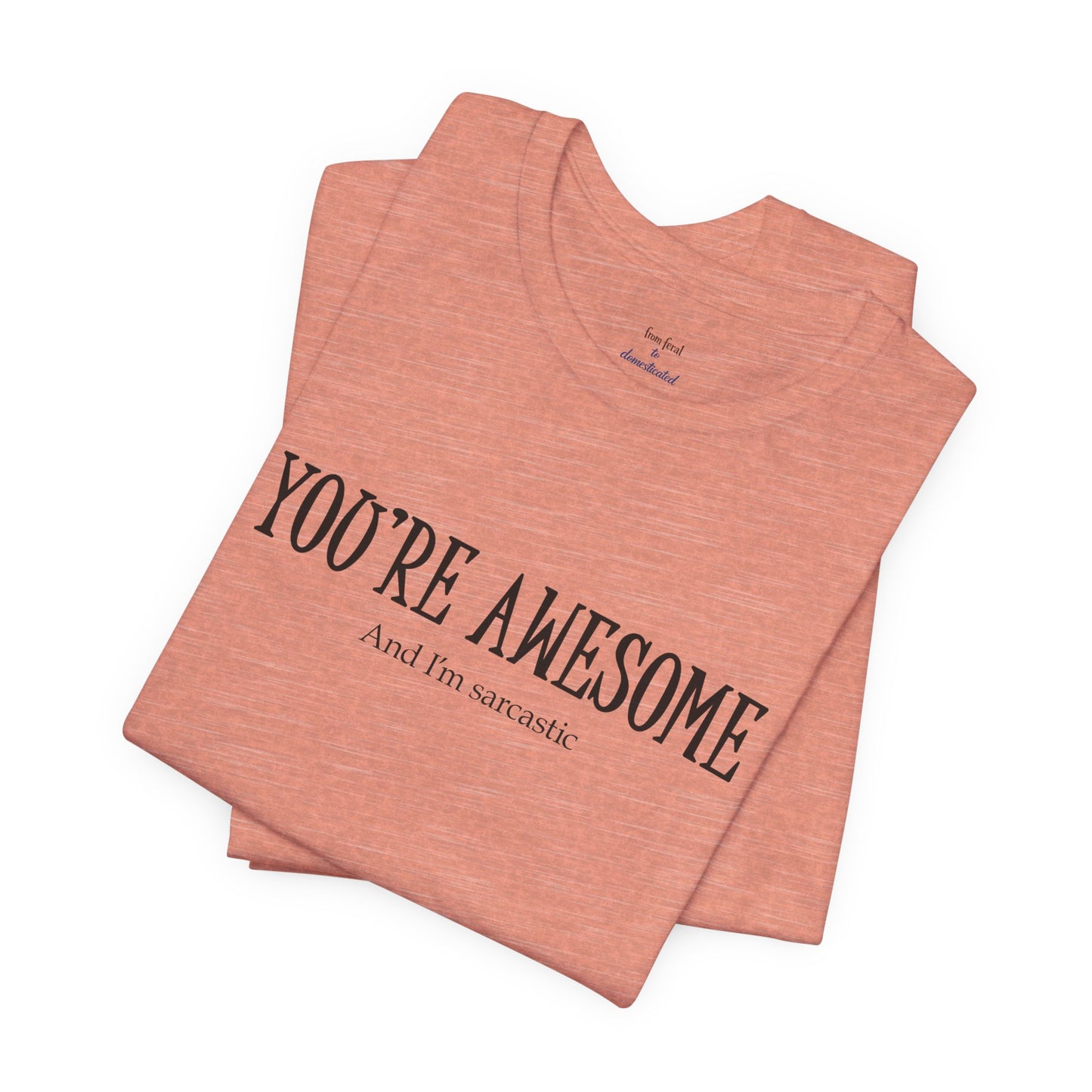 You're Awesome (And I'm Sarcastic) T-Shirt