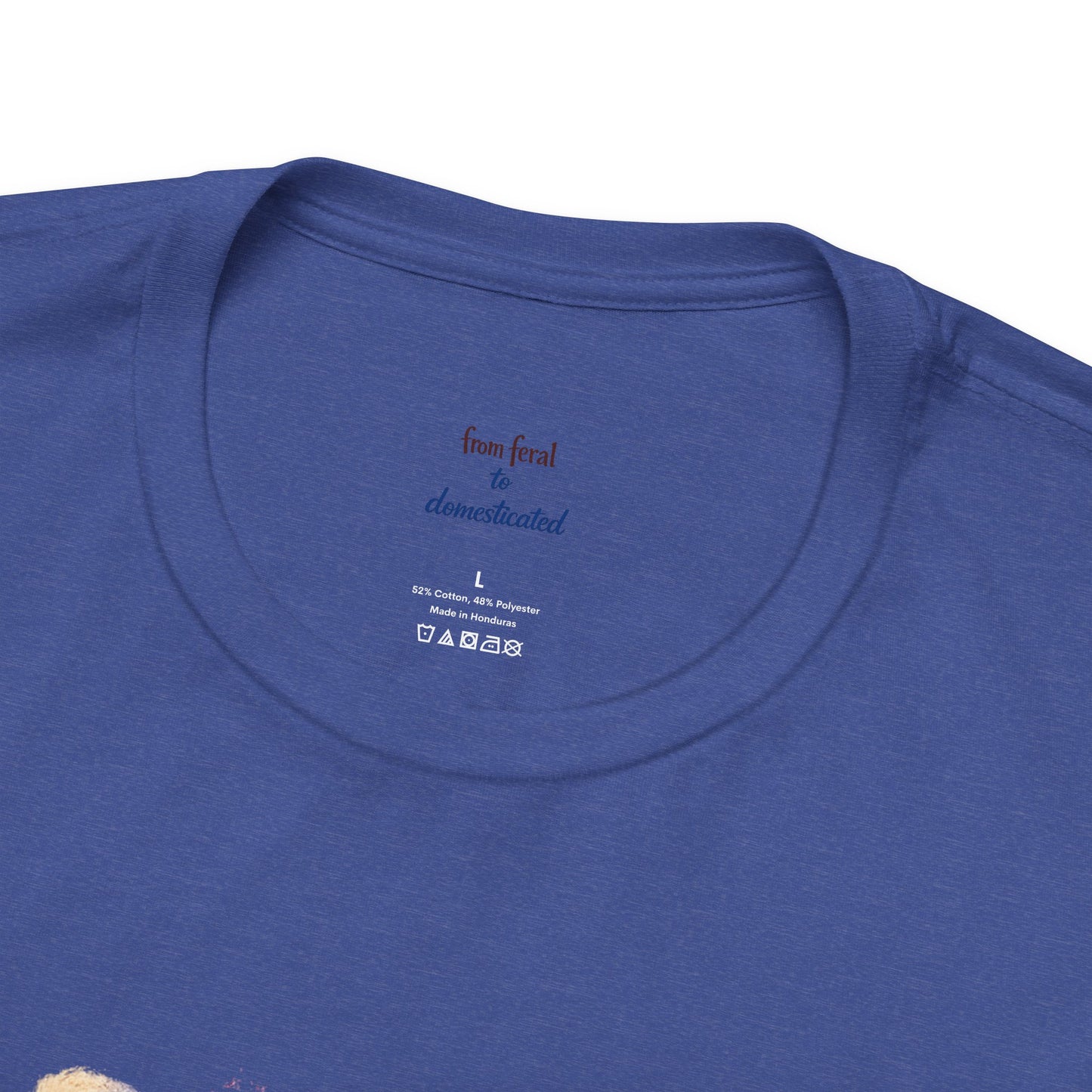 Patriot Raccoon 250th Anniversary T-Shirt — 4th of July Fireworks Flag Tee