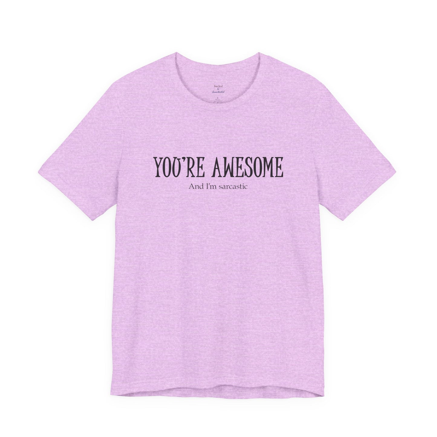 You're Awesome (And I'm Sarcastic) T-Shirt