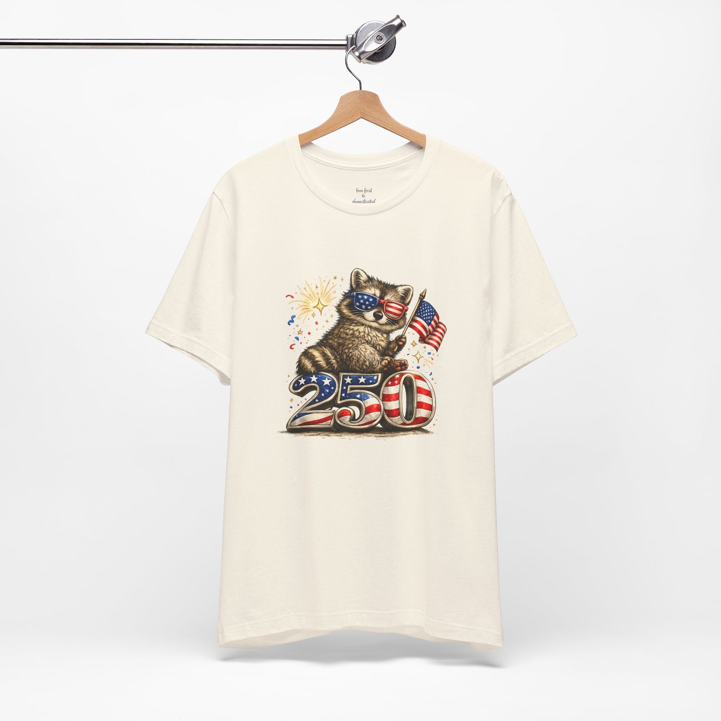 Patriot Raccoon 250th Anniversary T-Shirt — 4th of July Fireworks Flag Tee