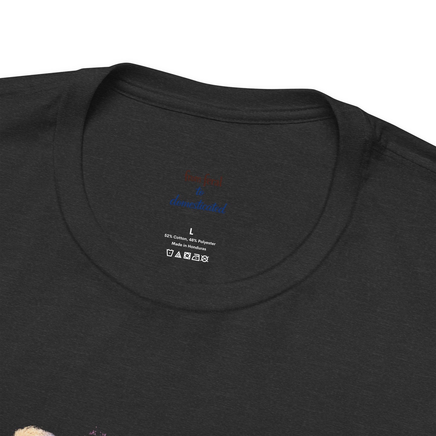 Patriot Raccoon 250th Anniversary T-Shirt — 4th of July Fireworks Flag Tee
