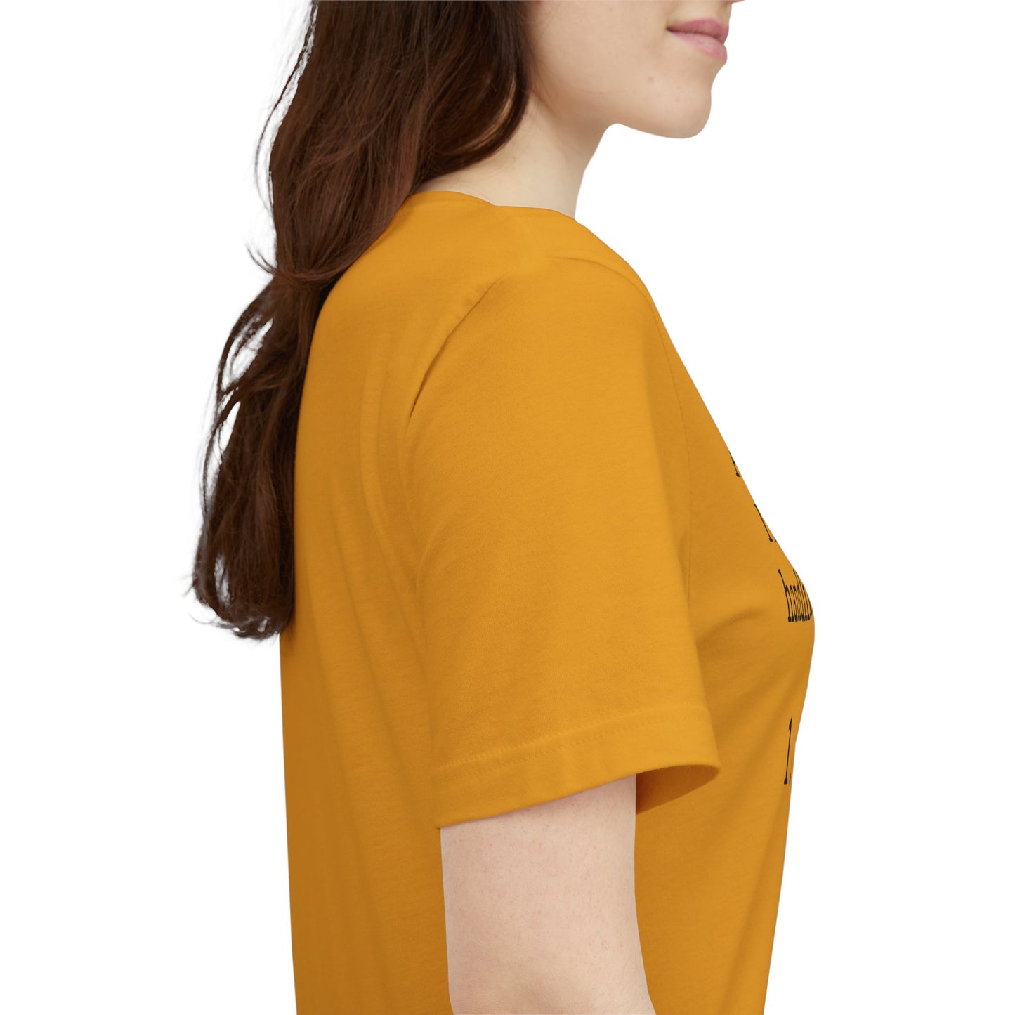 Funny 'A List of Things I'm Currently Handling Well' T-Shirt
