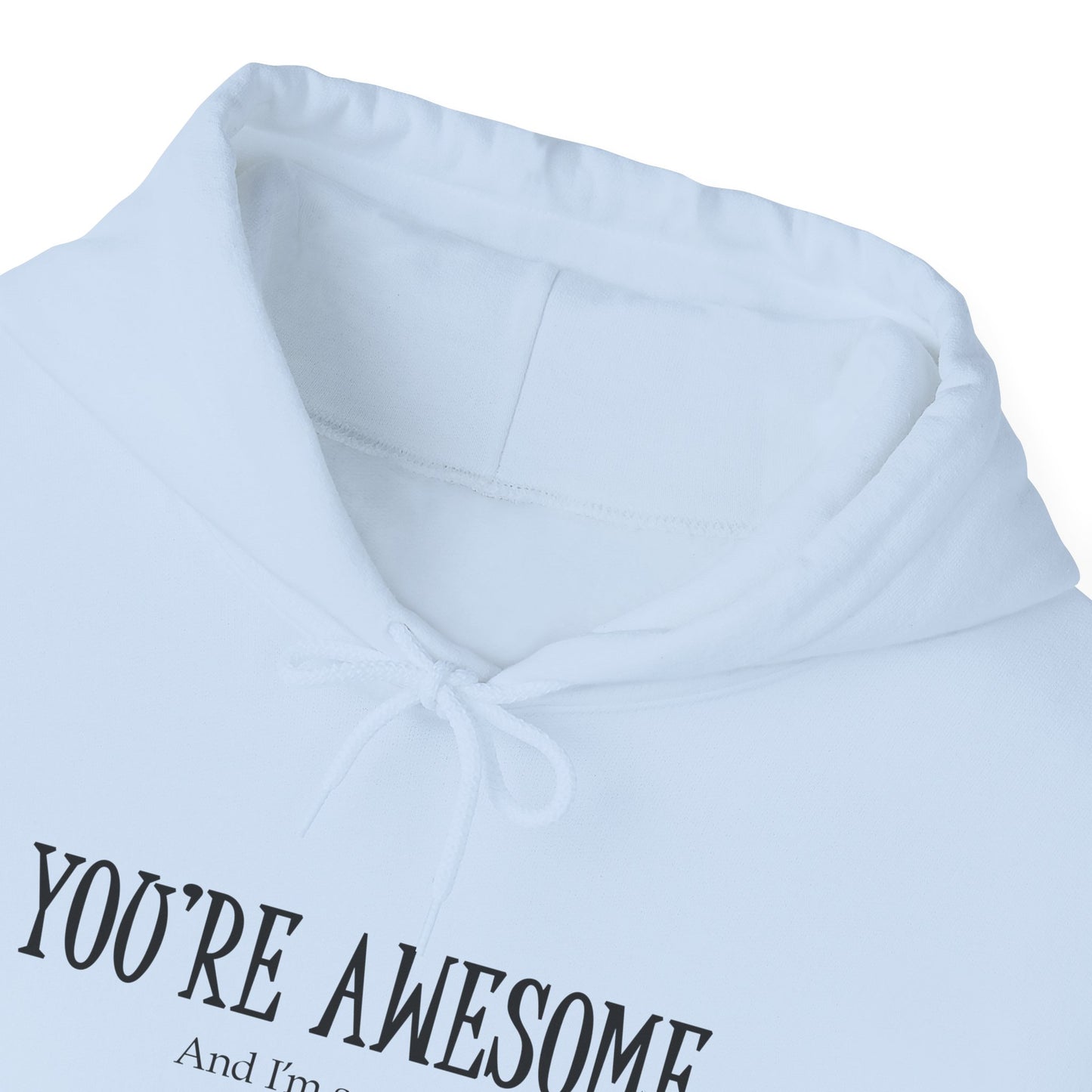 You're Awesome | I'm sarcastic Hoodie
