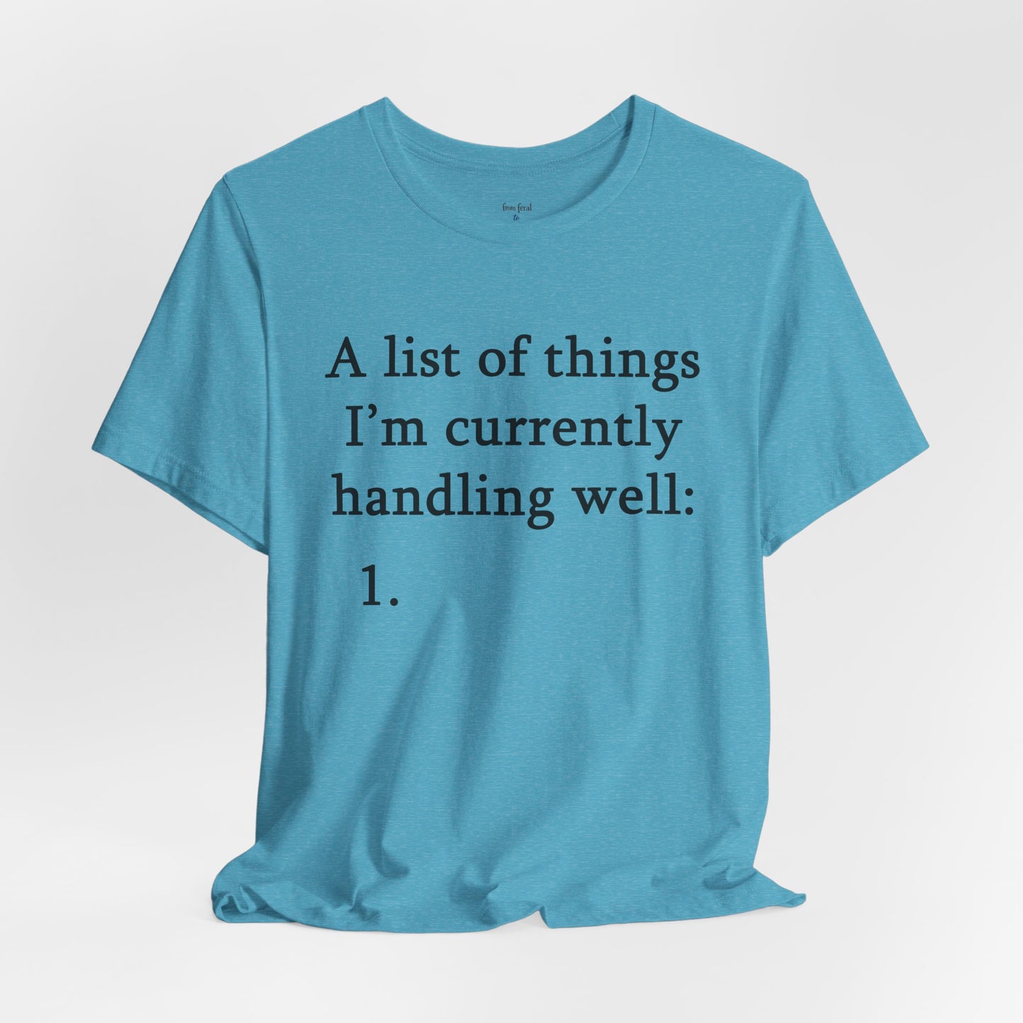 Funny 'A List of Things I'm Currently Handling Well' T-Shirt