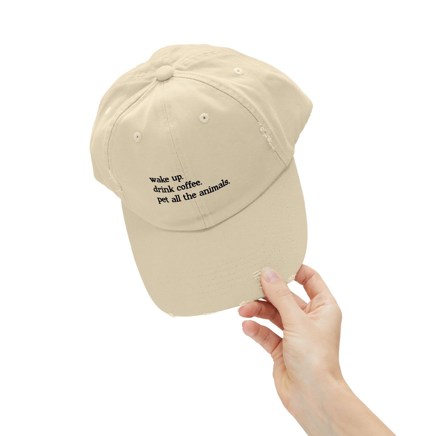 "Wake Up Routine" Distressed Cap —  Funny Truth Hat