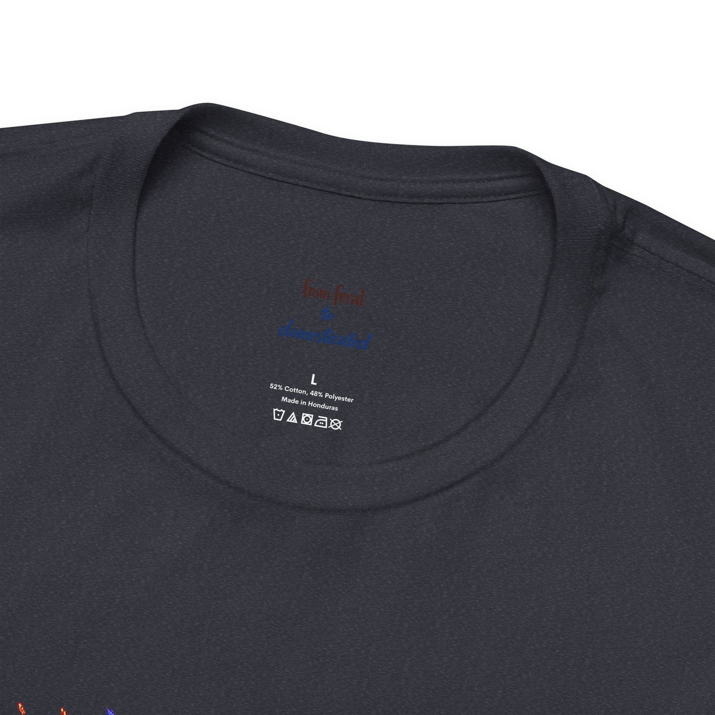 Patriot Raccoon 250th Anniversary T-Shirt — 4th of July Fireworks Flag Tee