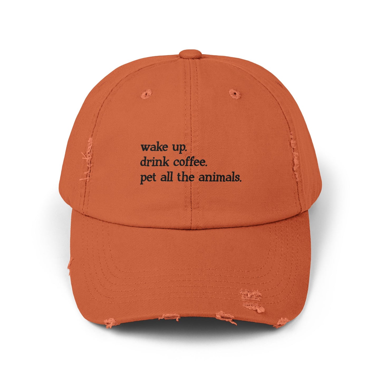 "Wake Up Routine" Distressed Cap —  Funny Truth Hat