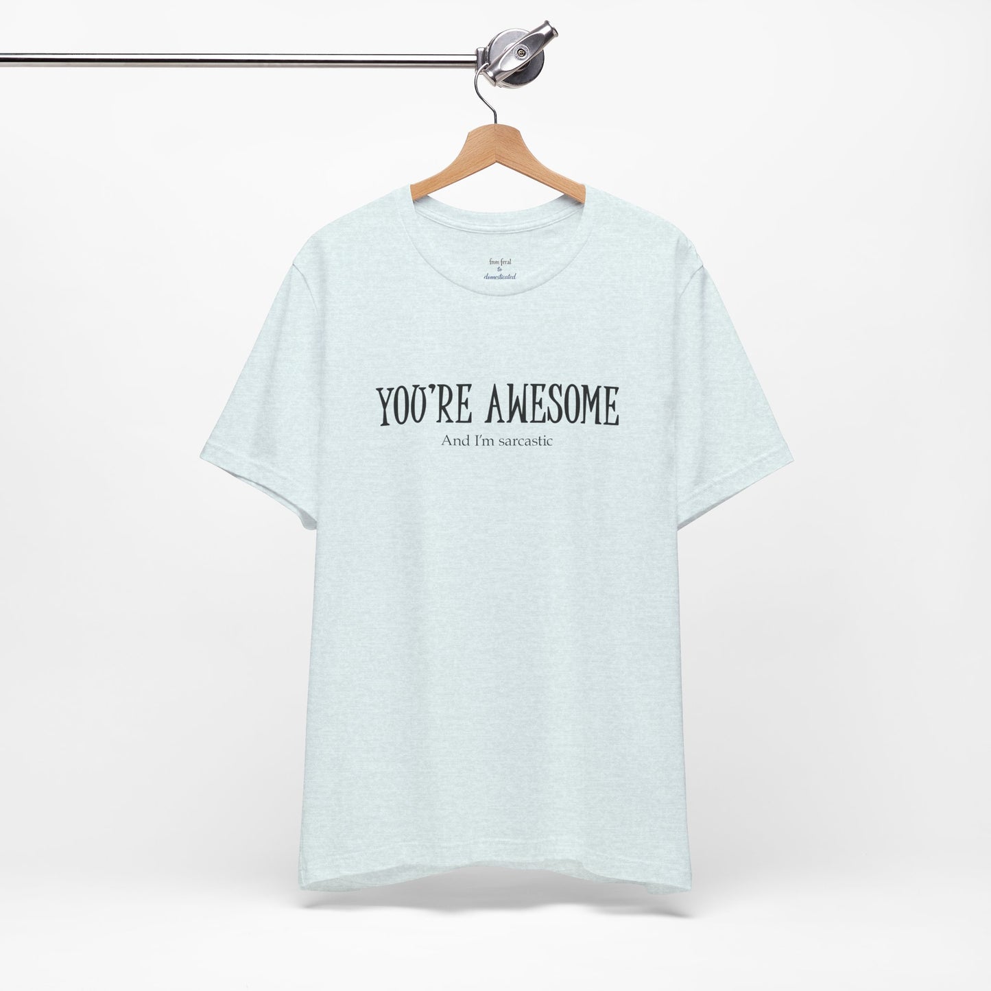 You're Awesome (And I'm Sarcastic) T-Shirt