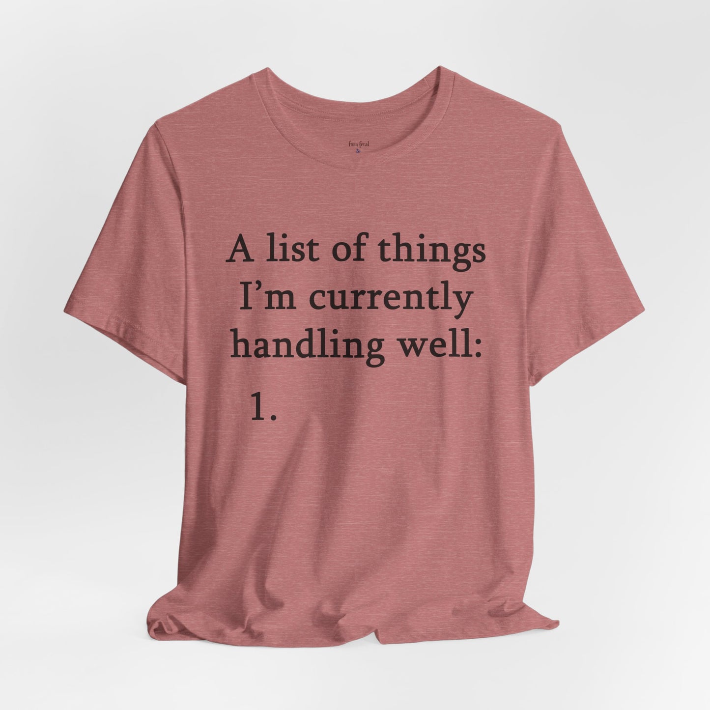 Funny 'A List of Things I'm Currently Handling Well' T-Shirt