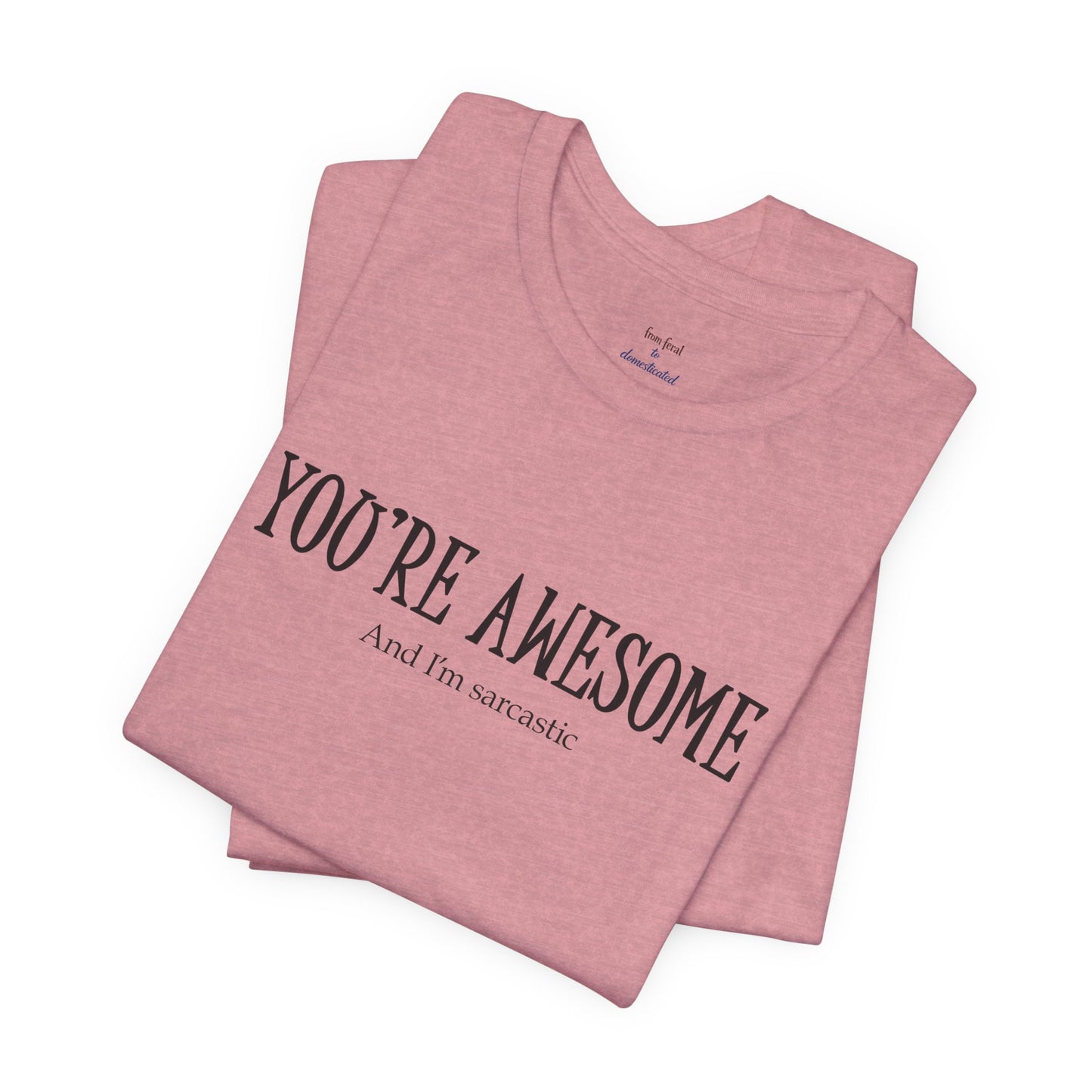 You're Awesome (And I'm Sarcastic) T-Shirt