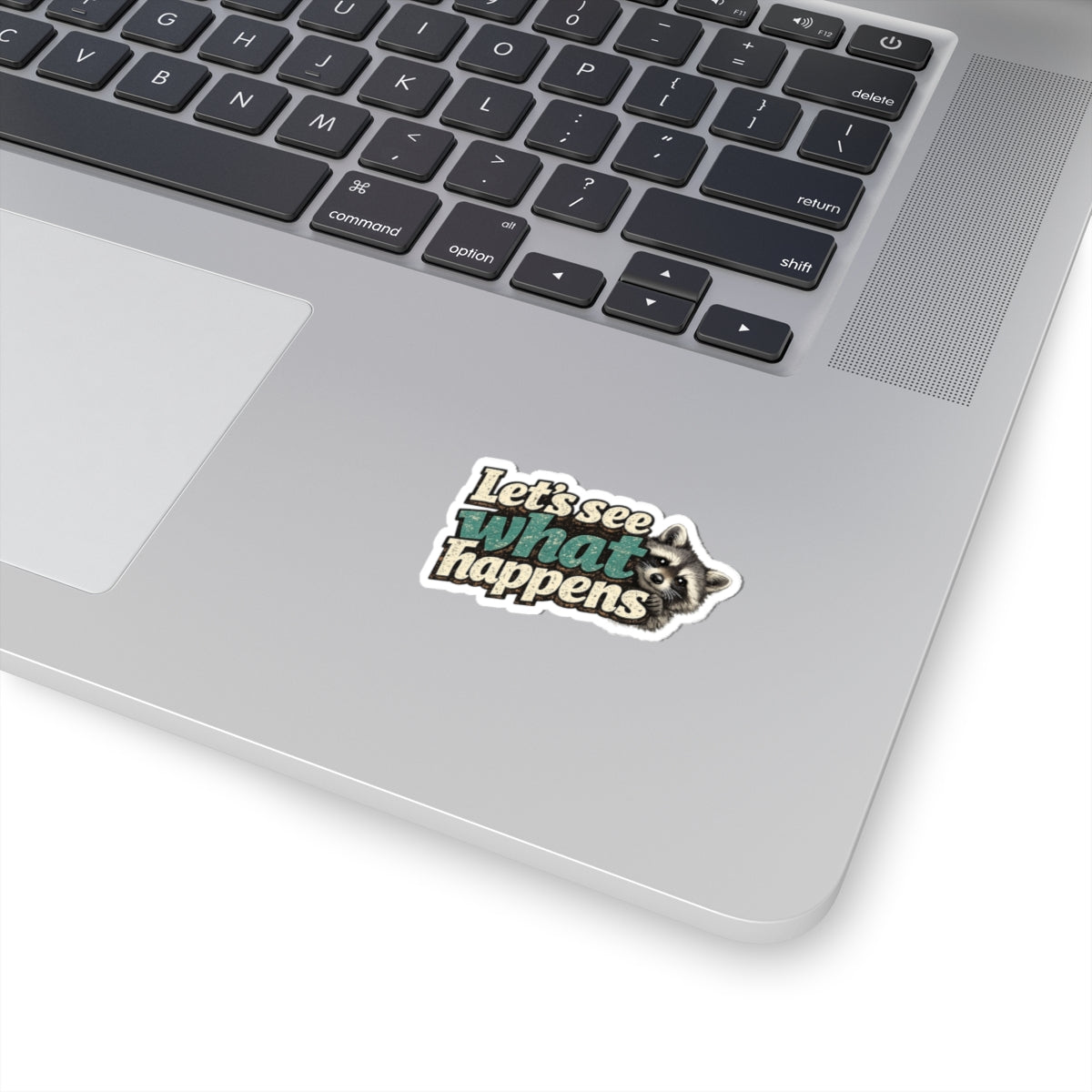 Peek & See Raccoon Stickers