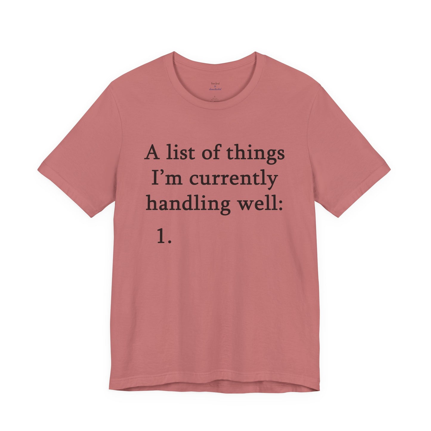 Funny 'A List of Things I'm Currently Handling Well' T-Shirt