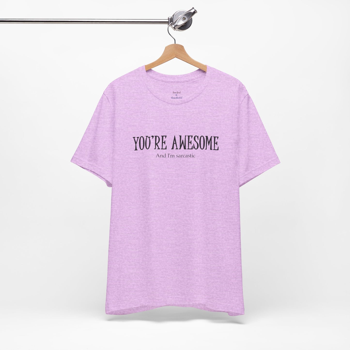 You're Awesome (And I'm Sarcastic) T-Shirt