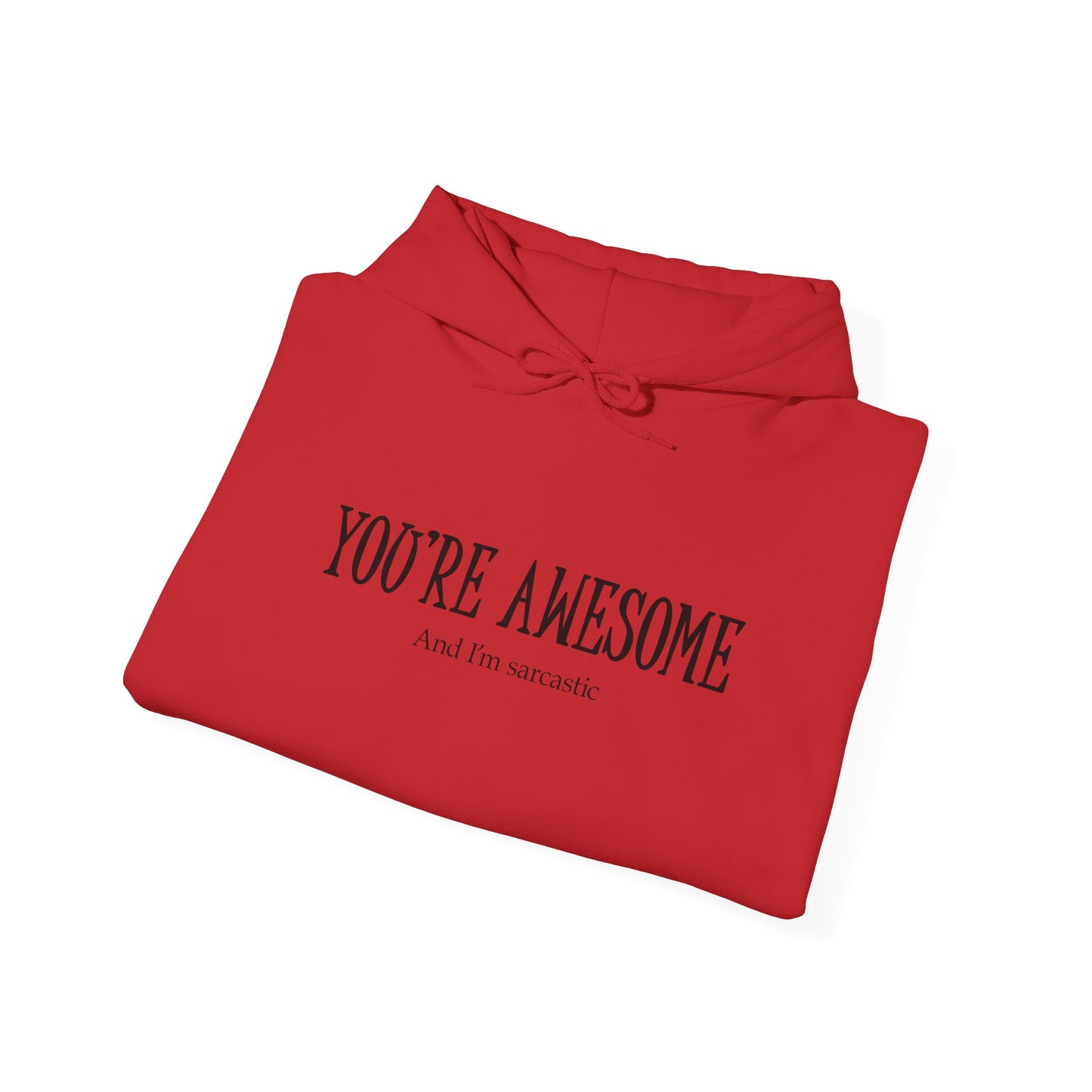 You're Awesome | I'm sarcastic Hoodie