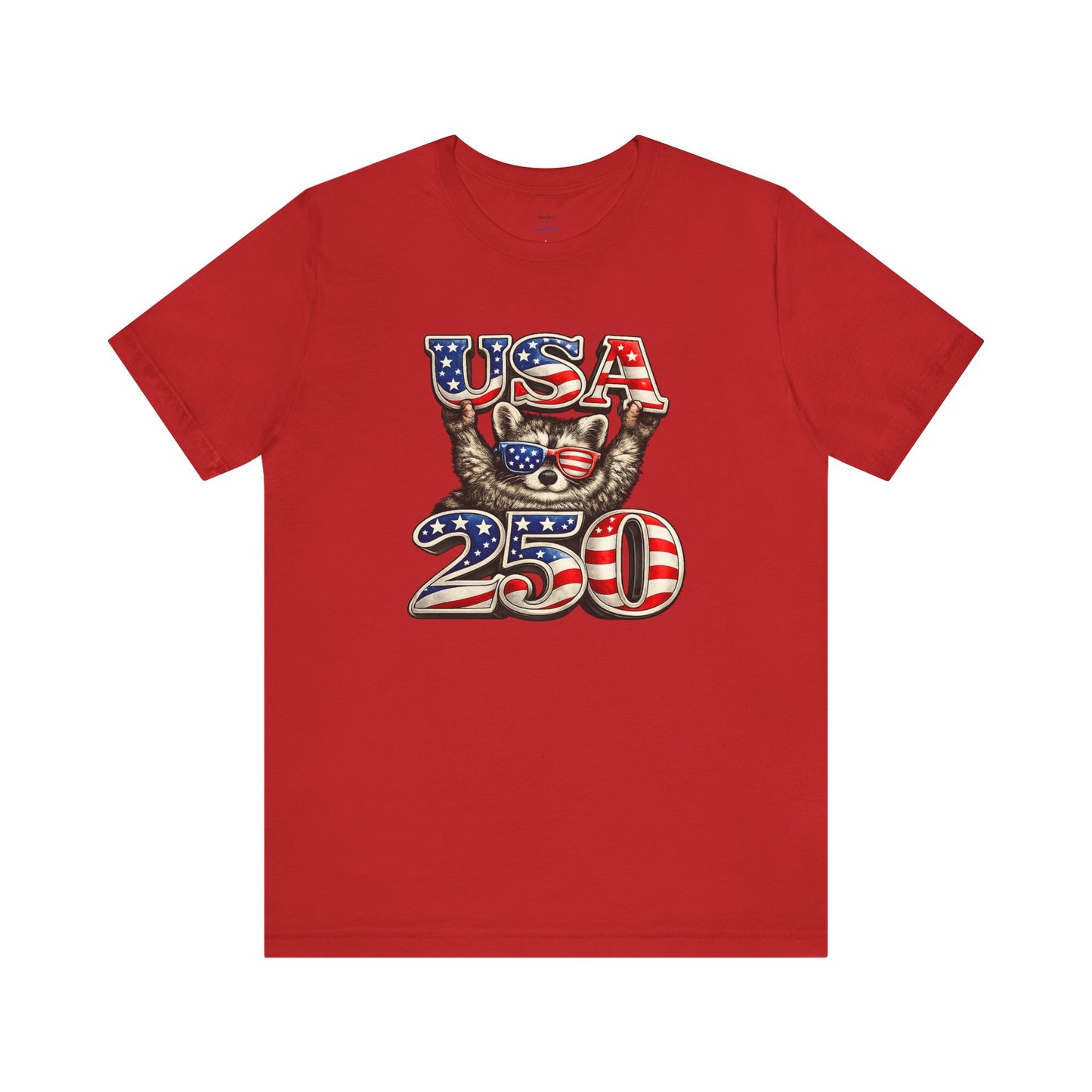 Patriot Raccoon 250th Anniversary T-Shirt — 4th of July Fireworks Flag Tee