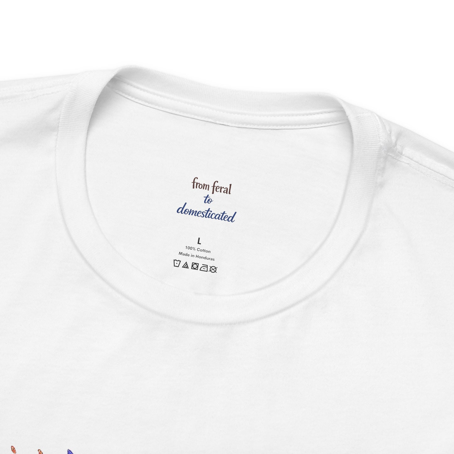 Patriot Raccoon 250th Anniversary T-Shirt — 4th of July Fireworks Flag Tee