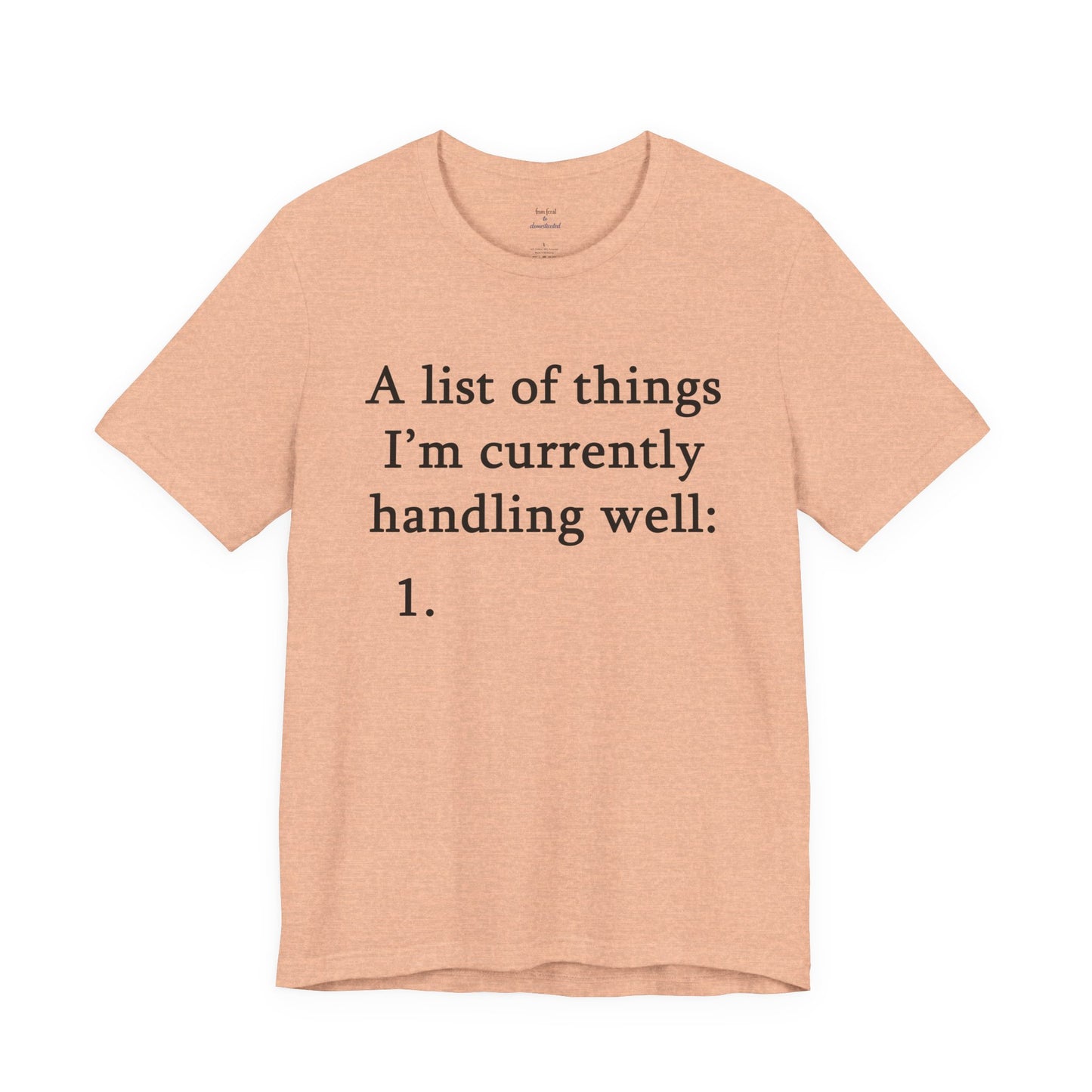 Funny 'A List of Things I'm Currently Handling Well' T-Shirt