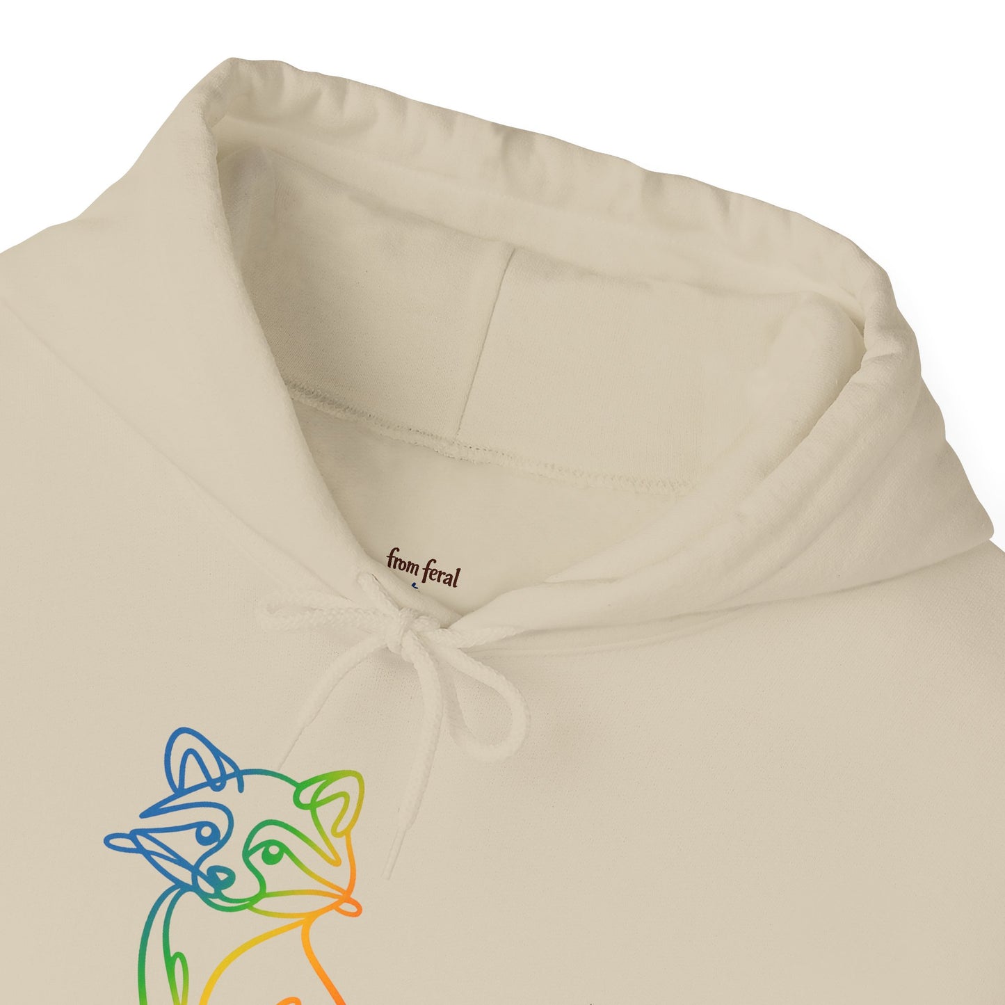 Rainbow Line Art Raccoon Hoodie
