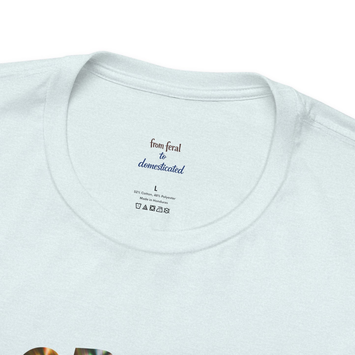 Crazy Cat Lady Tee
