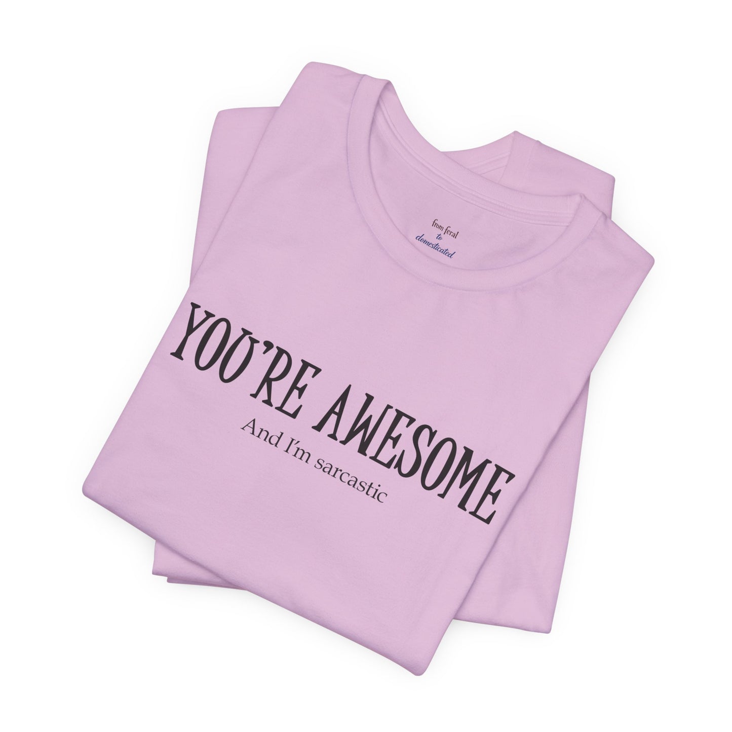 You're Awesome (And I'm Sarcastic) T-Shirt