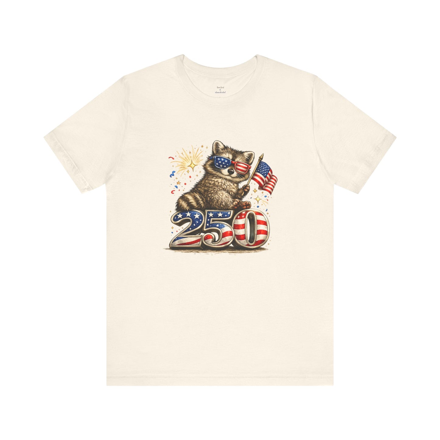 Patriot Raccoon 250th Anniversary T-Shirt — 4th of July Fireworks Flag Tee
