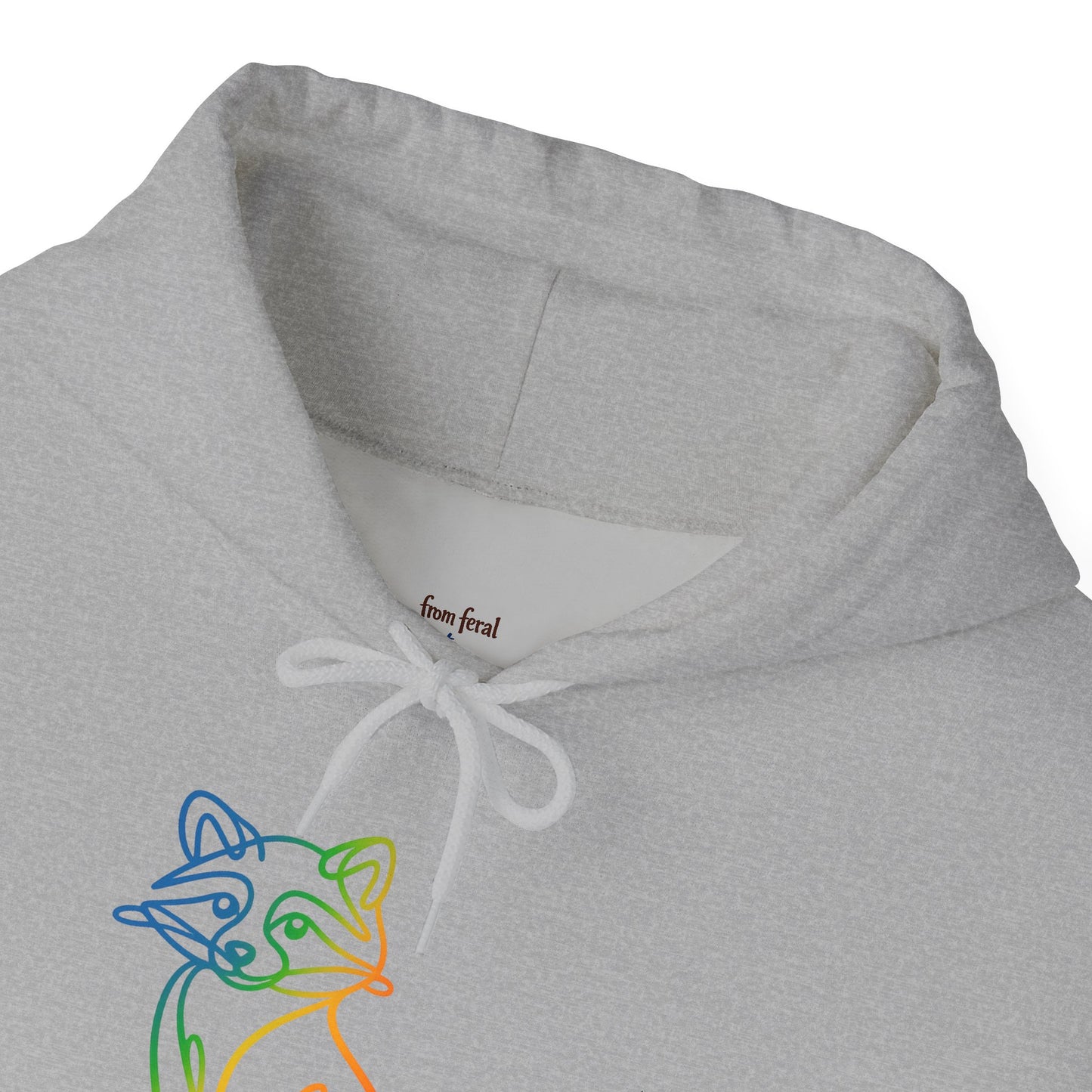 Rainbow Line Art Raccoon Hoodie
