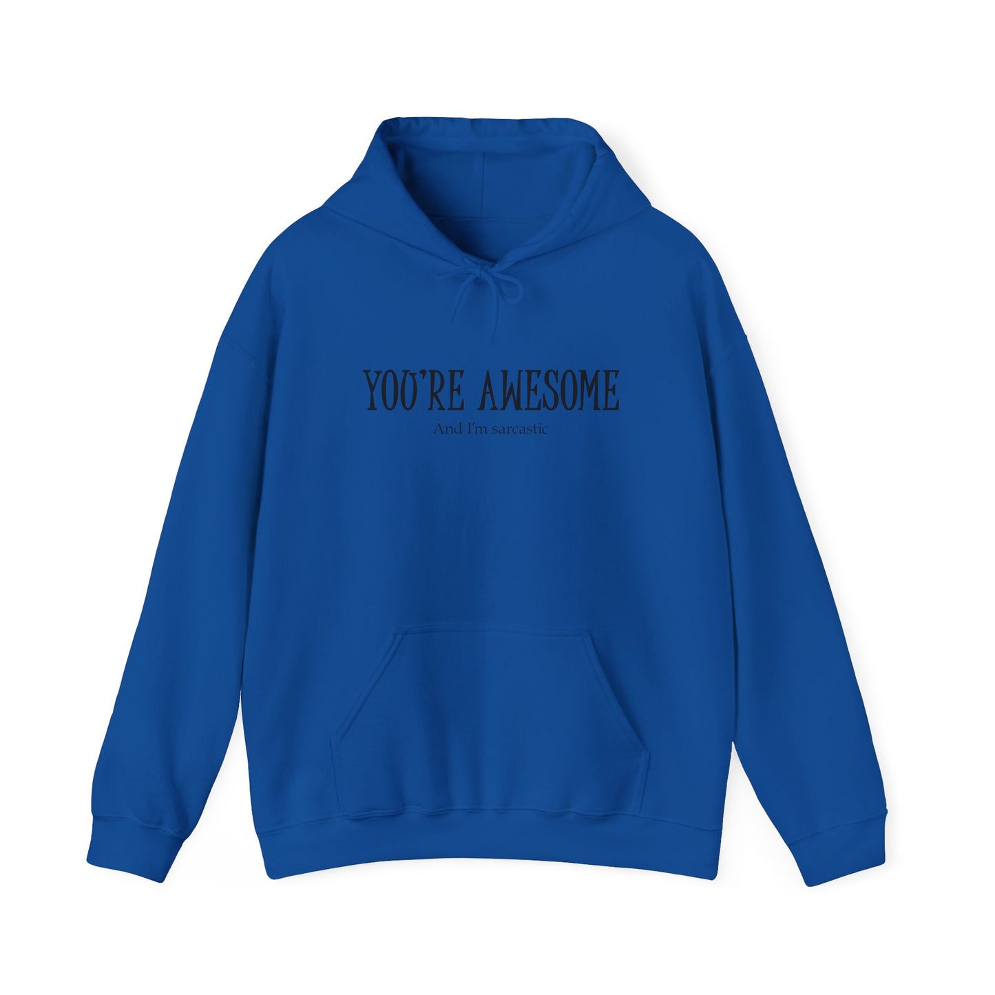 You're Awesome | I'm sarcastic Hoodie