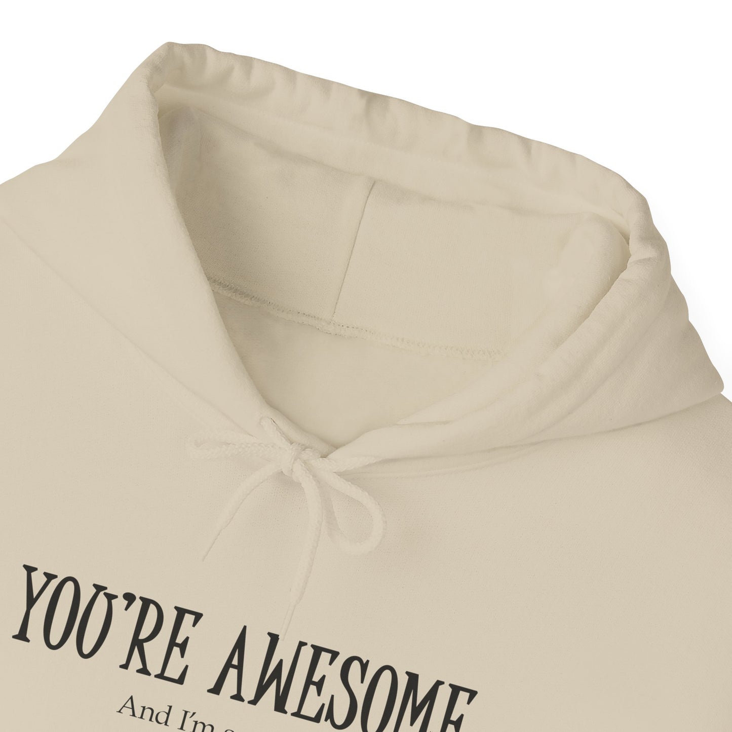 You're Awesome | I'm sarcastic Hoodie