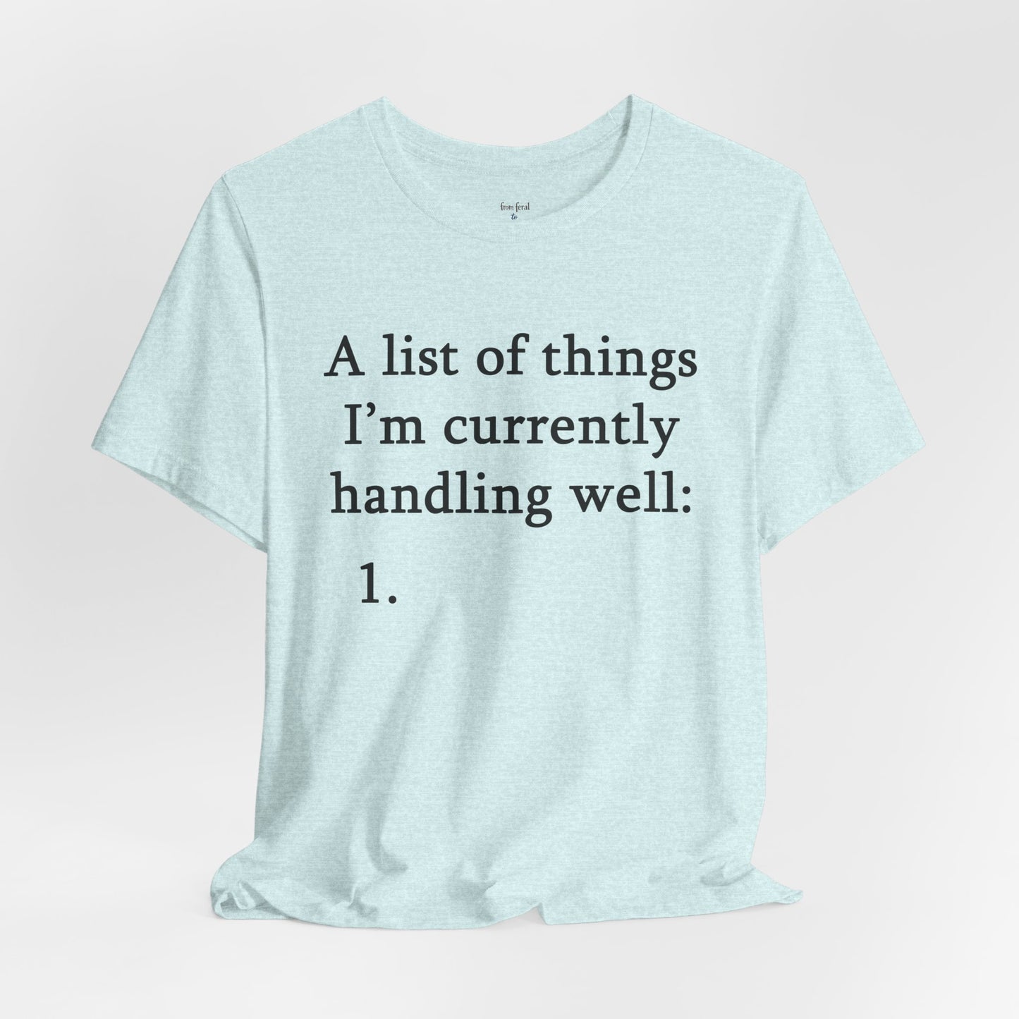 Funny 'A List of Things I'm Currently Handling Well' T-Shirt