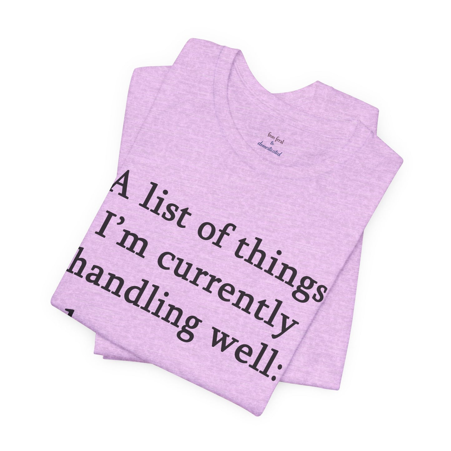 Funny 'A List of Things I'm Currently Handling Well' T-Shirt