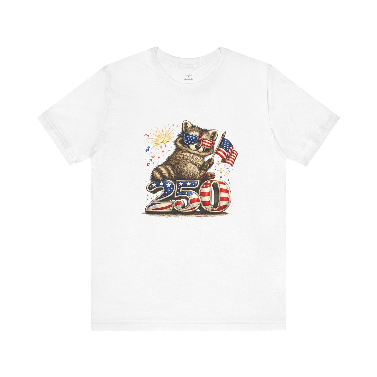 Patriot Raccoon 250th Anniversary T-Shirt — 4th of July Fireworks Flag Tee