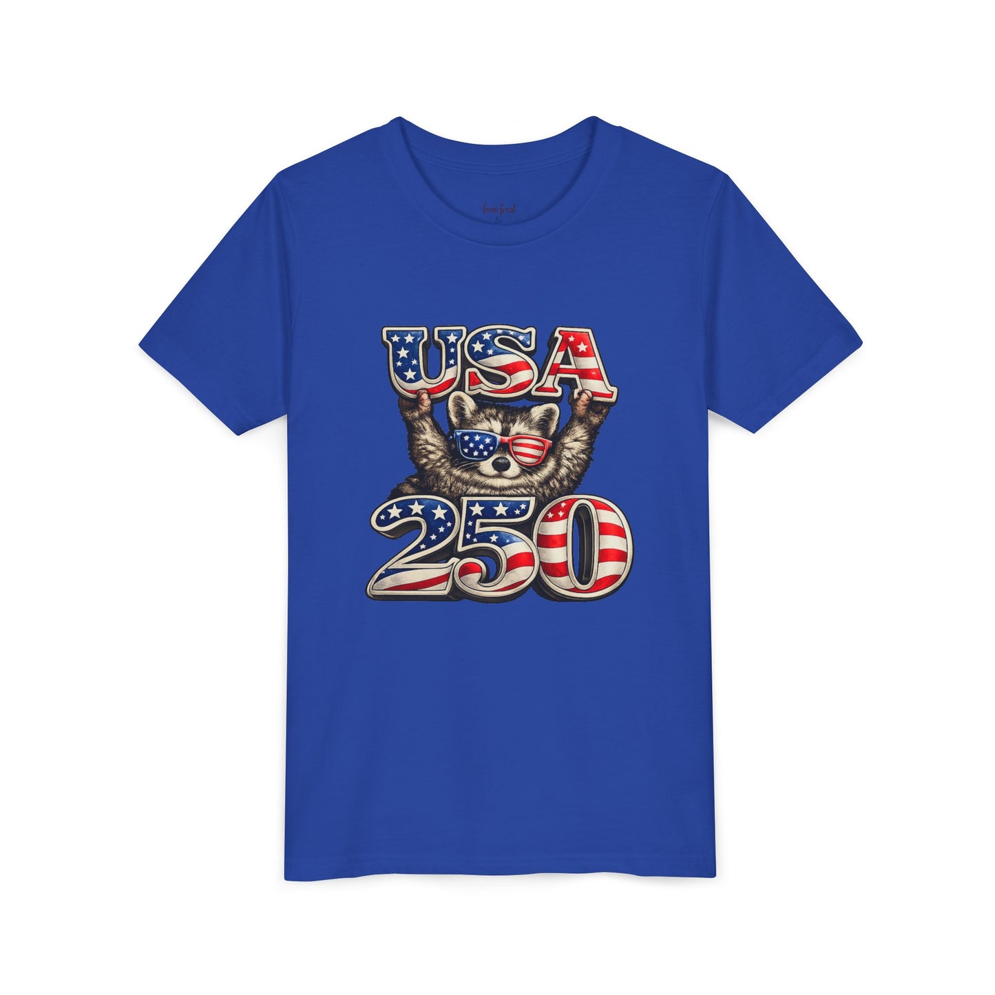 Patriotic Raccoon Youth Tee — Raccoon with USA 250