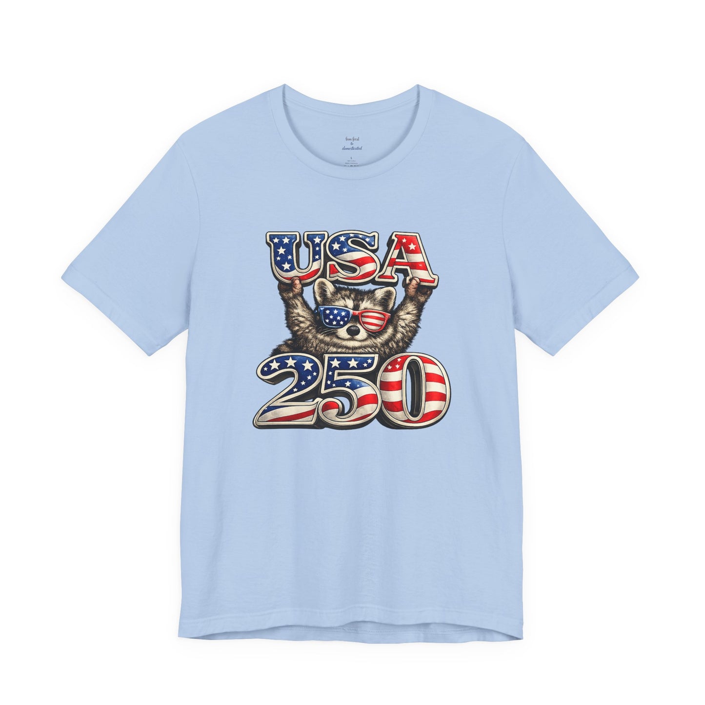 Patriot Raccoon 250th Anniversary T-Shirt — 4th of July Fireworks Flag Tee