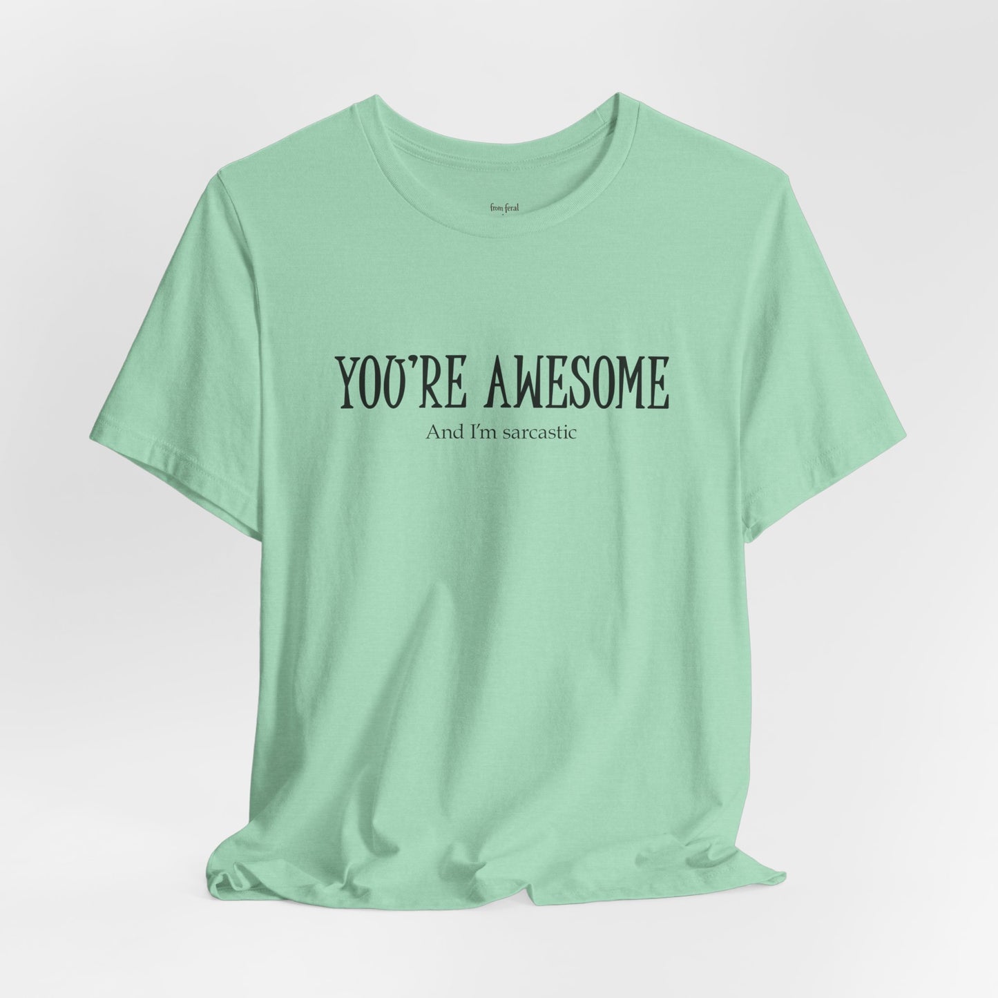 You're Awesome (And I'm Sarcastic) T-Shirt