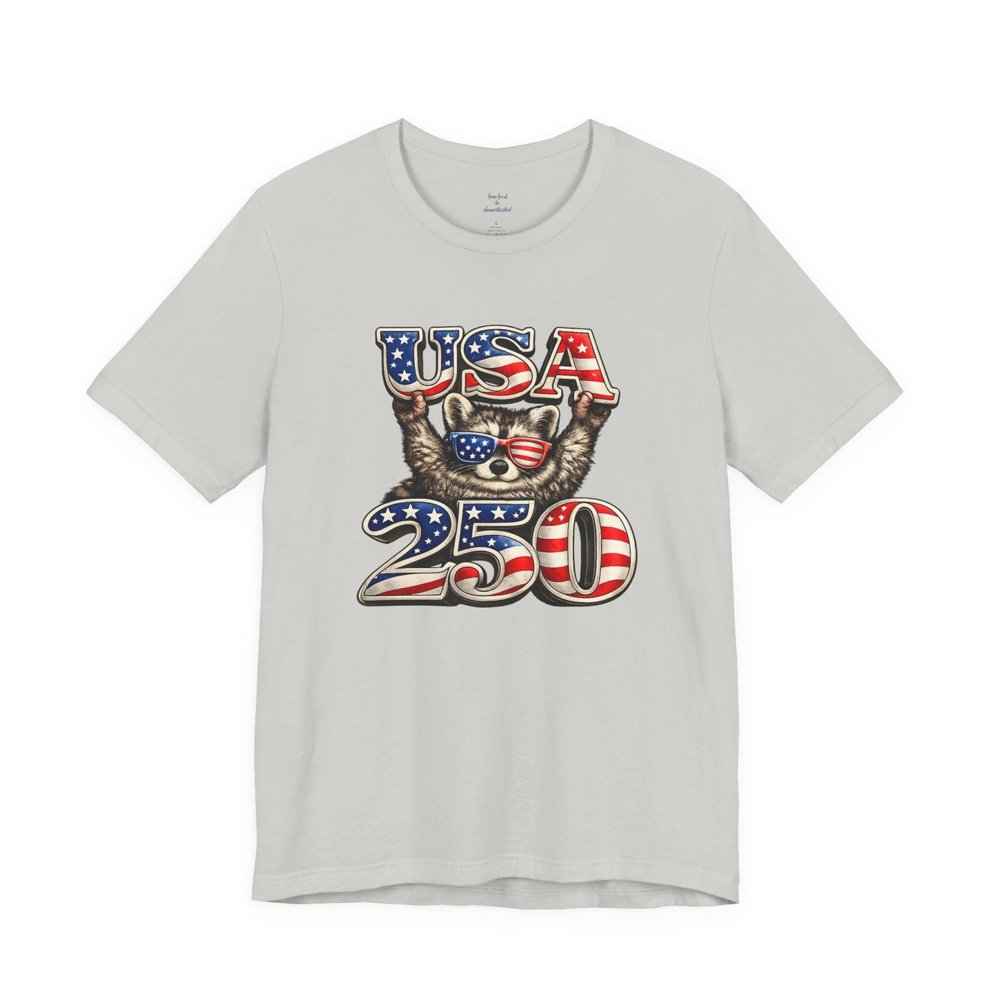 Patriot Raccoon 250th Anniversary T-Shirt — 4th of July Fireworks Flag Tee