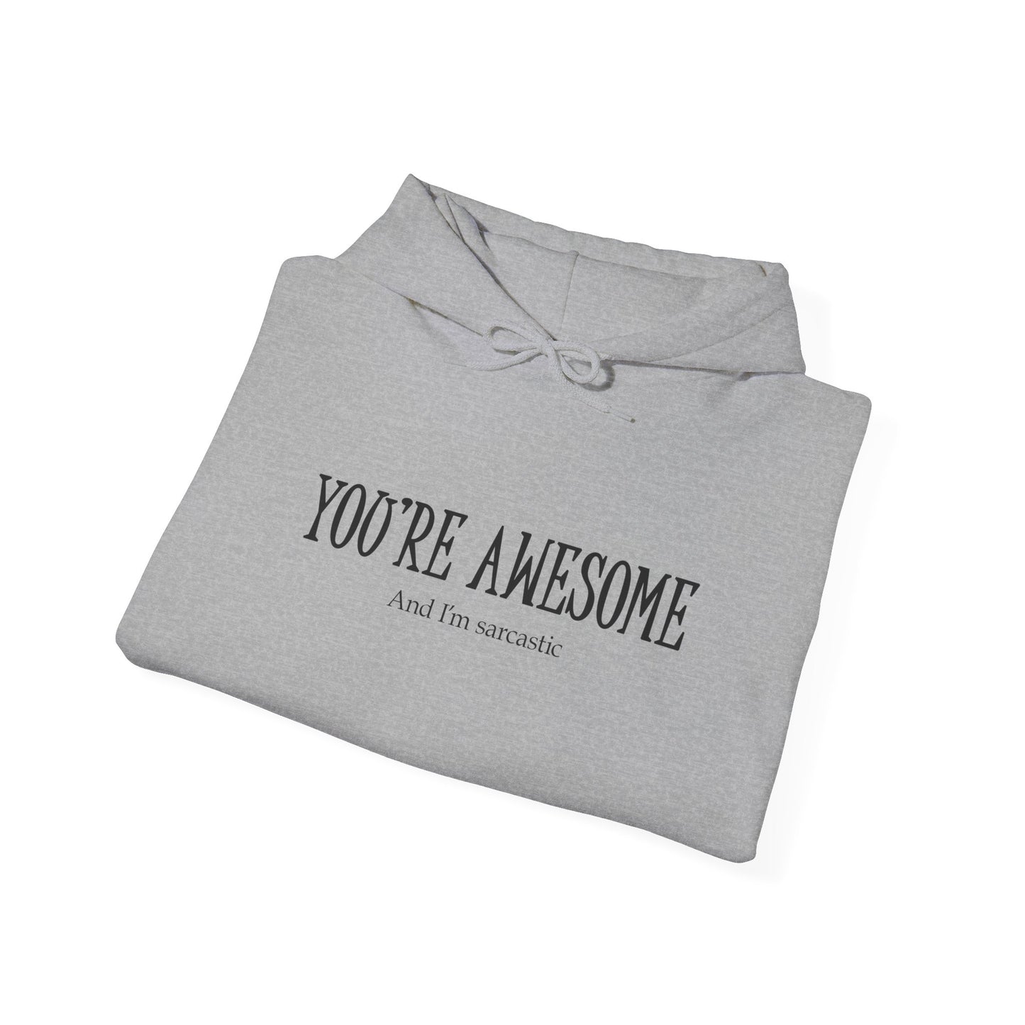 You're Awesome | I'm sarcastic Hoodie