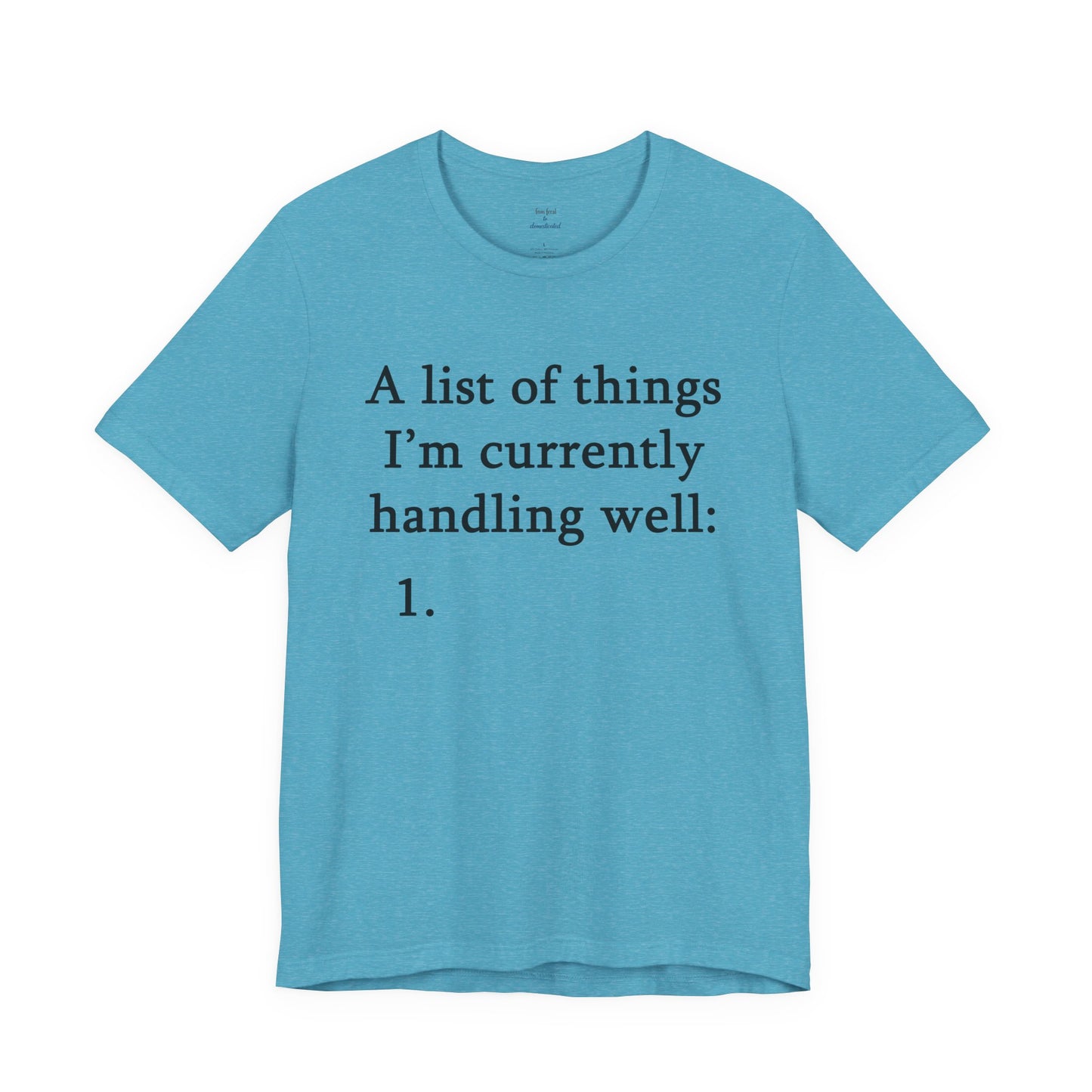 Funny 'A List of Things I'm Currently Handling Well' T-Shirt