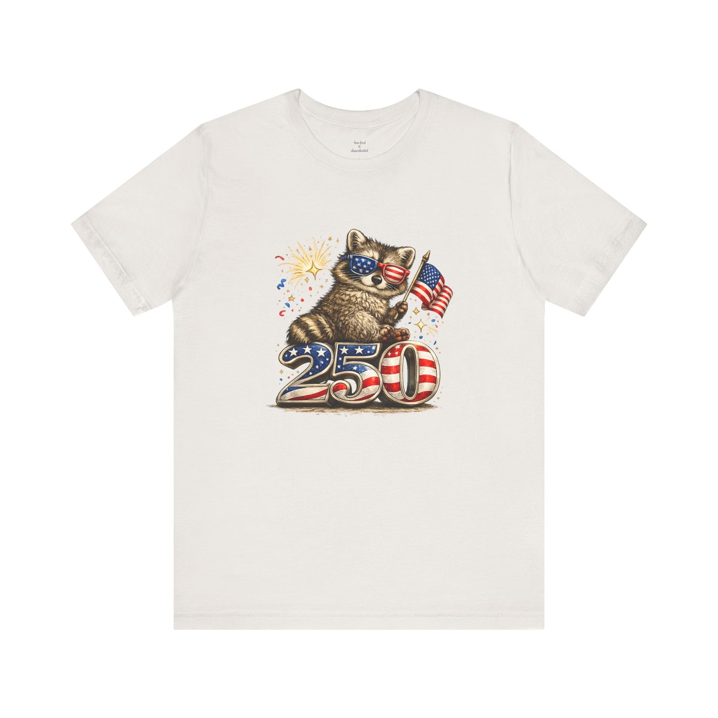 Patriot Raccoon 250th Anniversary T-Shirt — 4th of July Fireworks Flag Tee