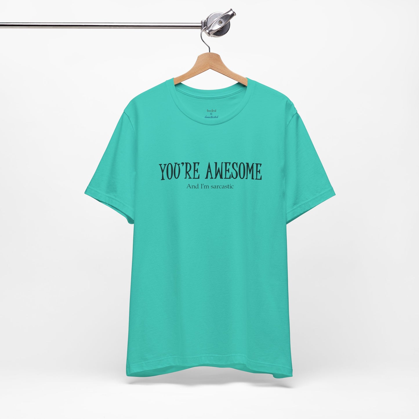 You're Awesome (And I'm Sarcastic) T-Shirt