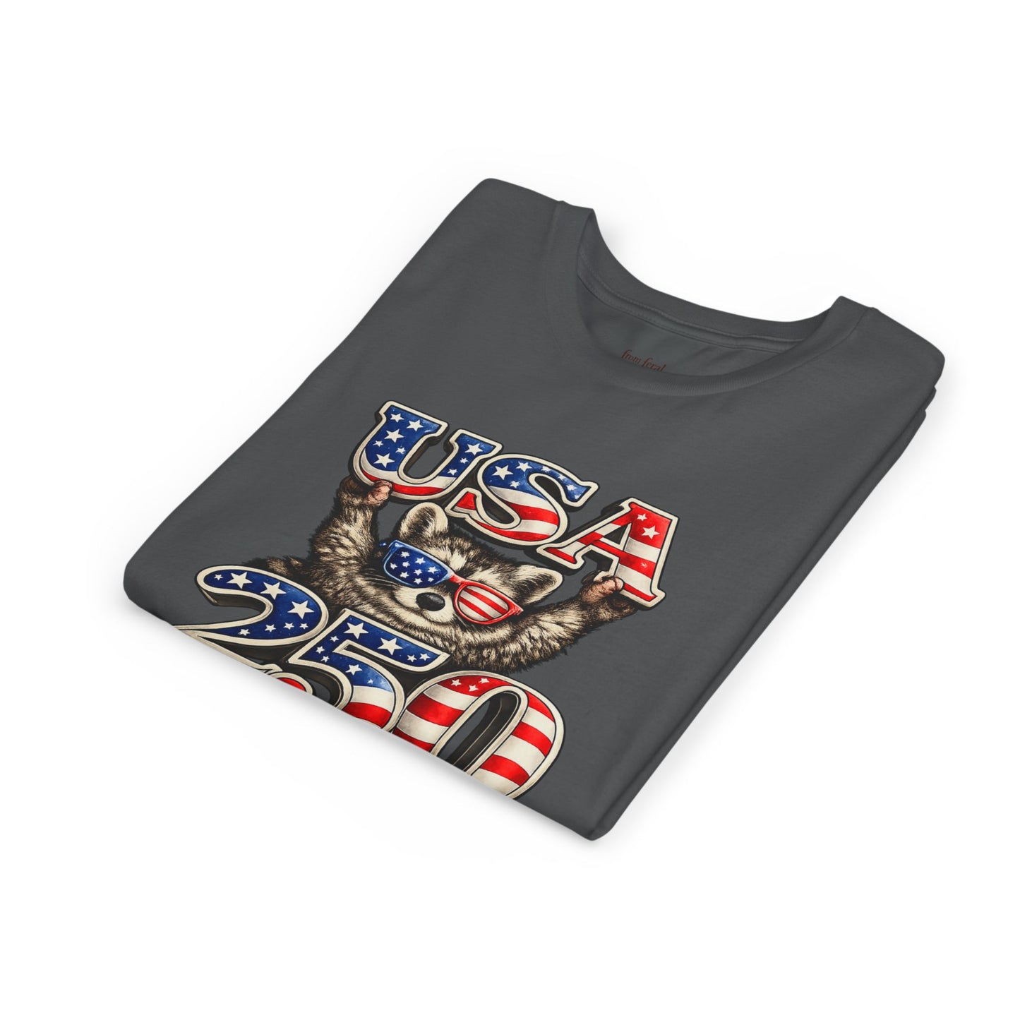 Patriotic Raccoon Youth Tee — Raccoon with USA 250